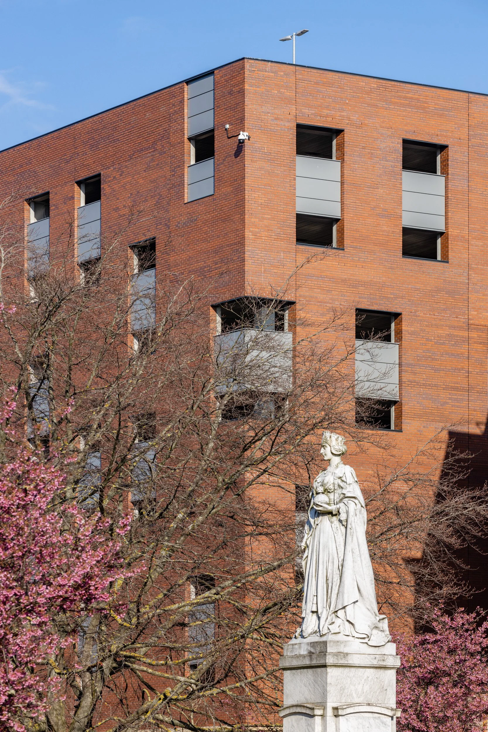 A white marble statue of a woman in historical clothing, holding a globe, surrounded by pink flowering trees. In the background, there is a modern red brick building with several open windows and gray balconies, under a clear blue sky.