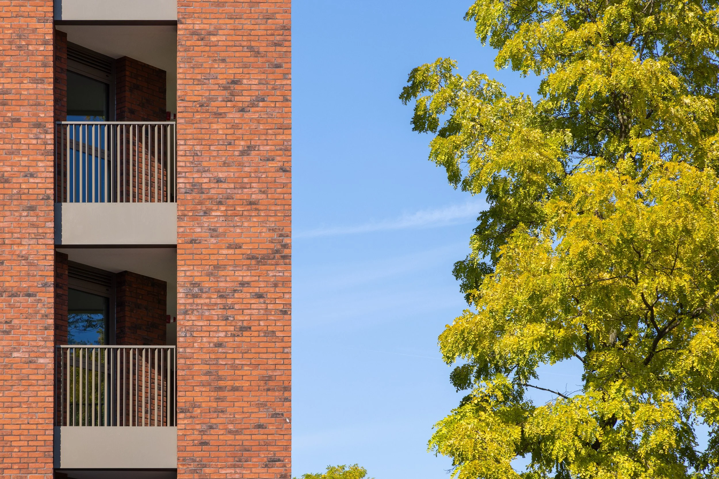 A brick apartment building with balconies on the left side, and a large green leafy tree on the right side against a blue sky.