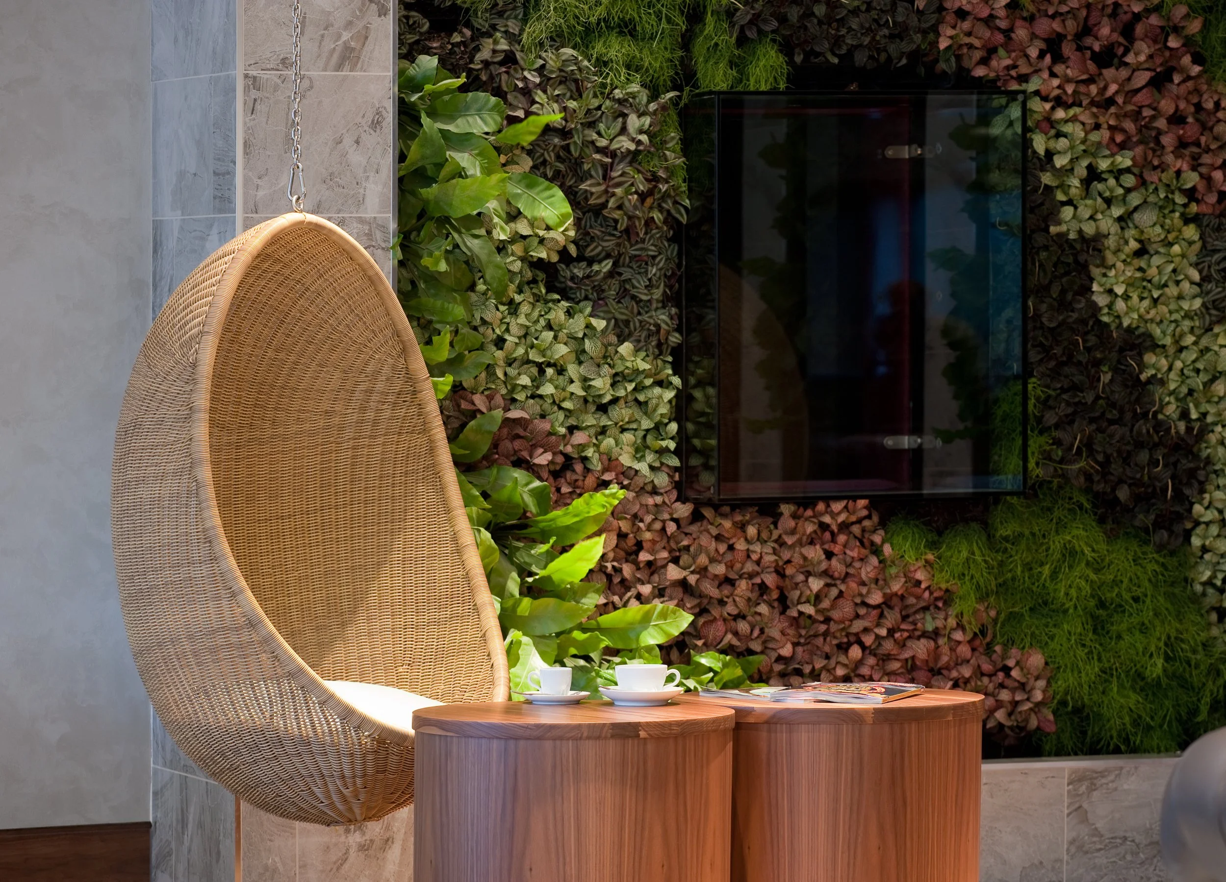 A hanging wicker egg-shaped chair with two white cups and magazines on a round wooden table in front of a vertical garden with various green and purple plants.