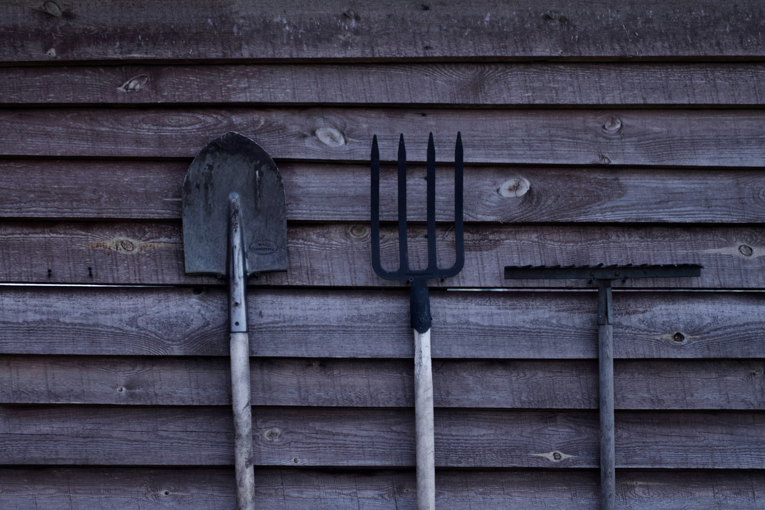 unsplash-image-vdD1rcsdL3E.jpg