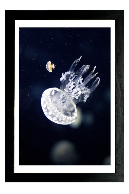 meduse_duo_pp_noir_3_2.jpg