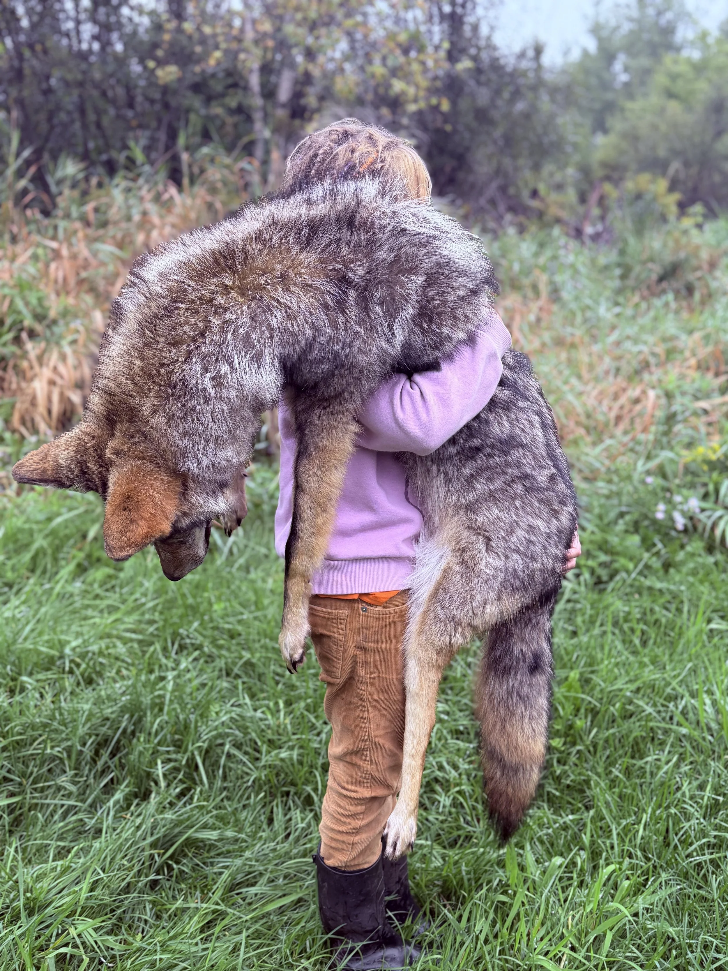 Soft mount coyote