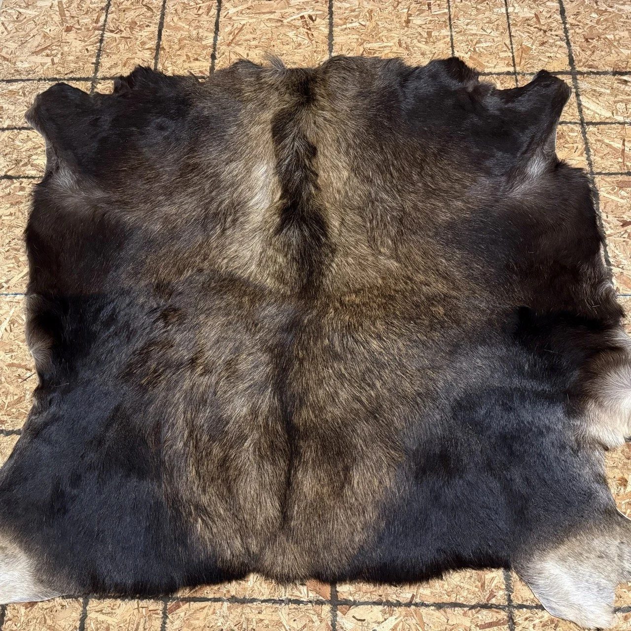 Moosehide Rug