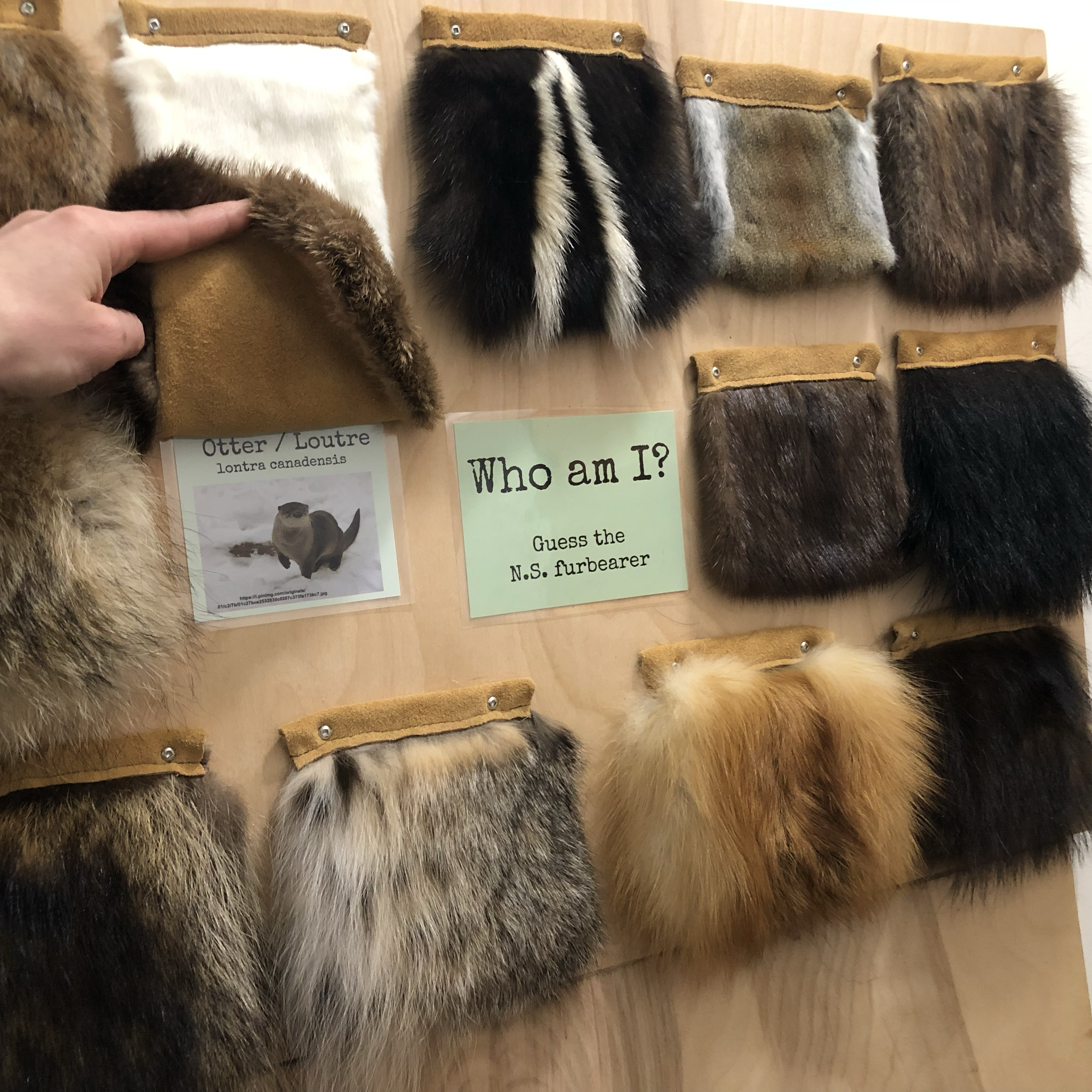 Fur squares, leather backside, Animal info underneath