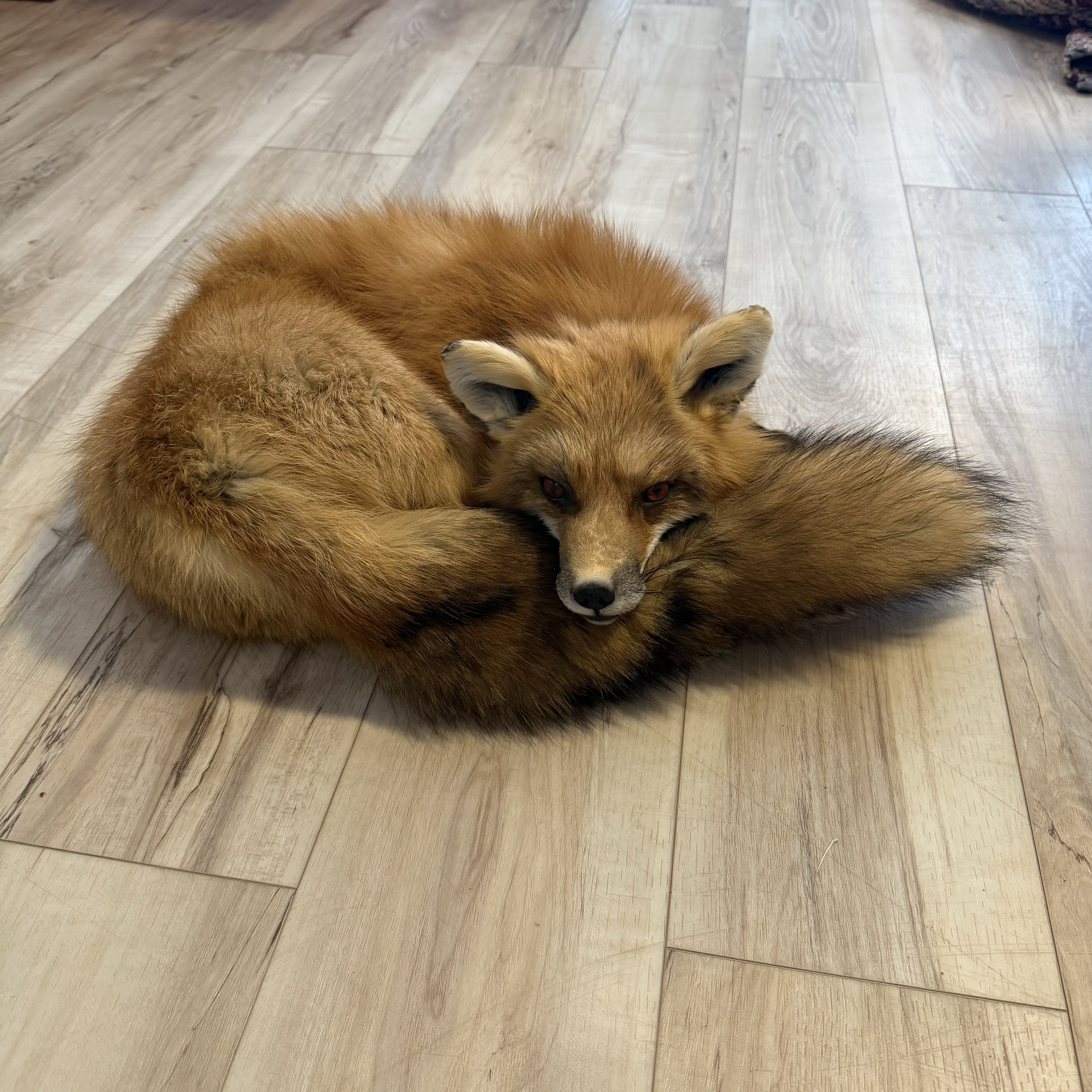 Soft mount fox stuffy