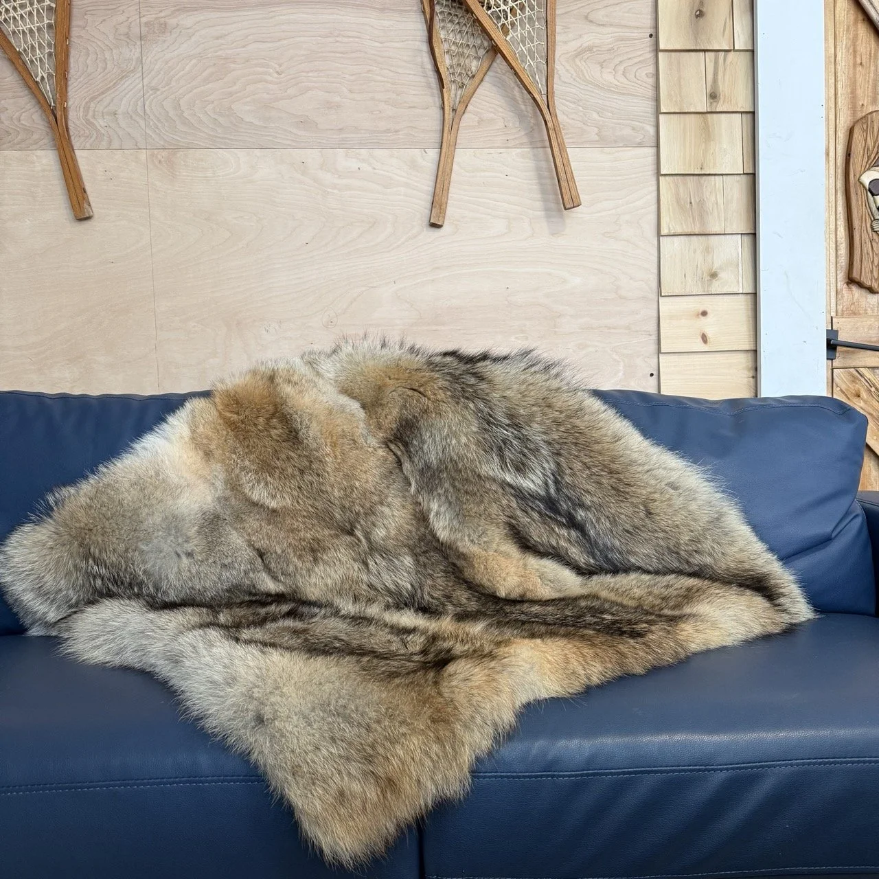 Coyote lap blanket 36"X36"