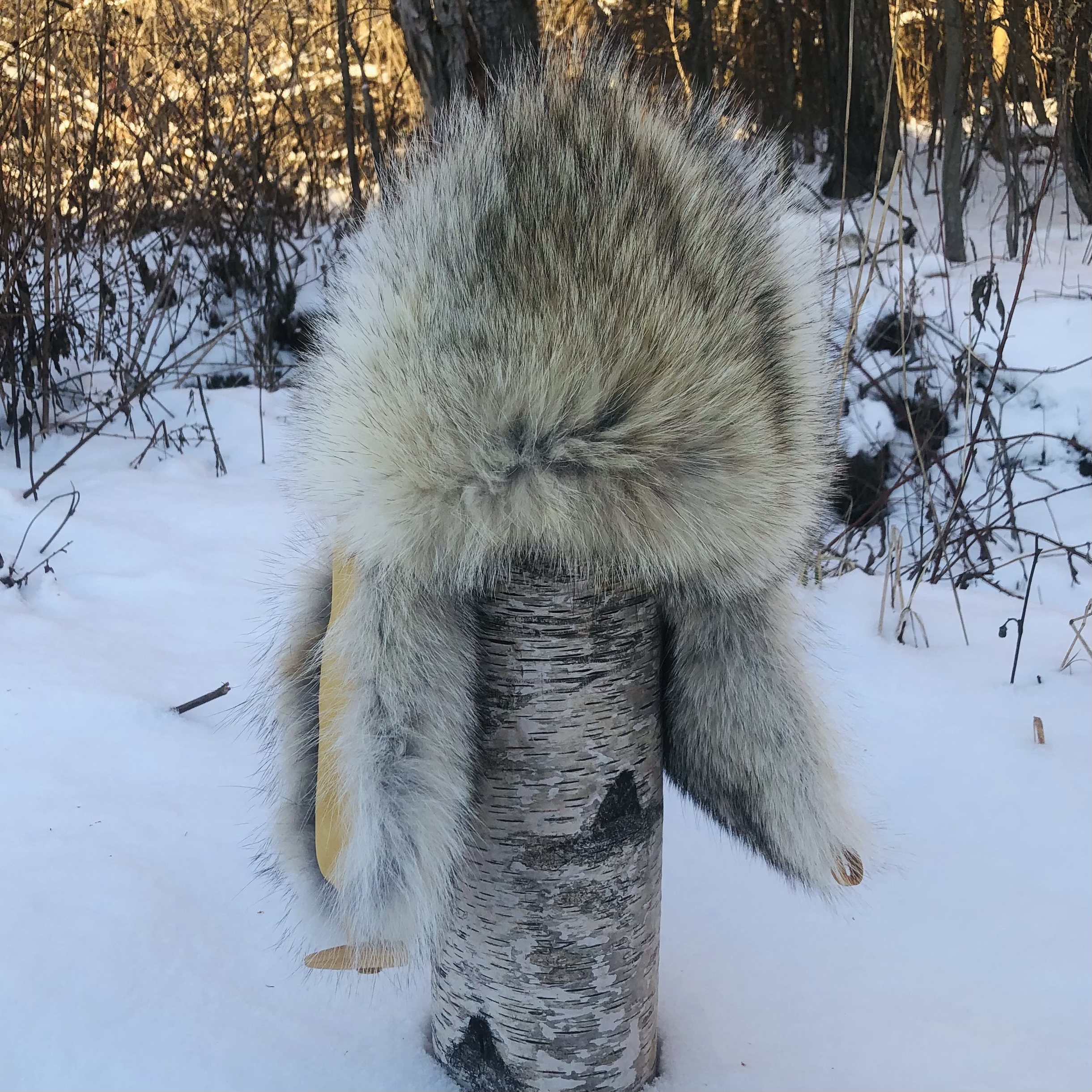 Trapper coyote fur hat, yellow deer hide leather, toggle tie 