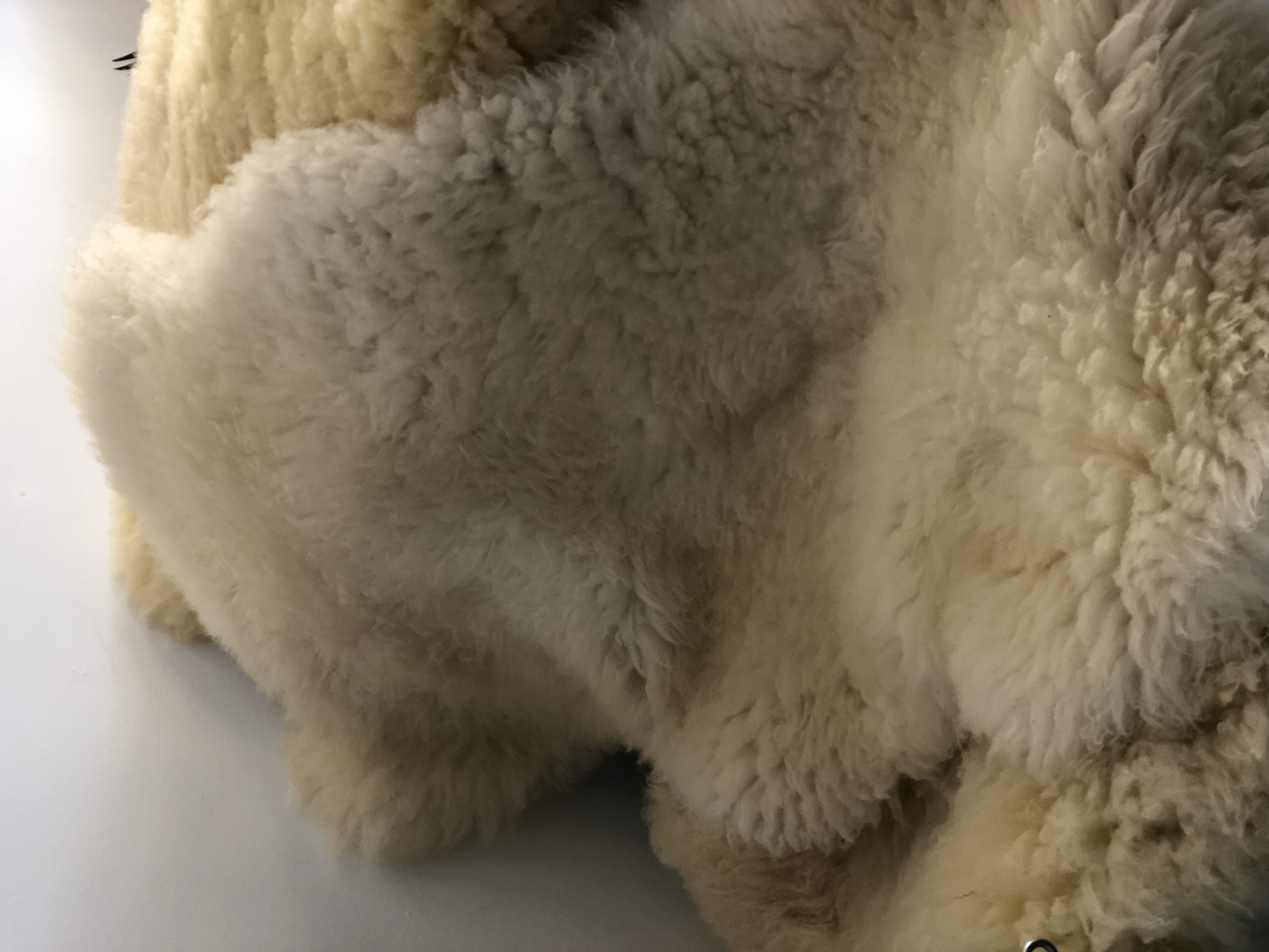 Sheepskins