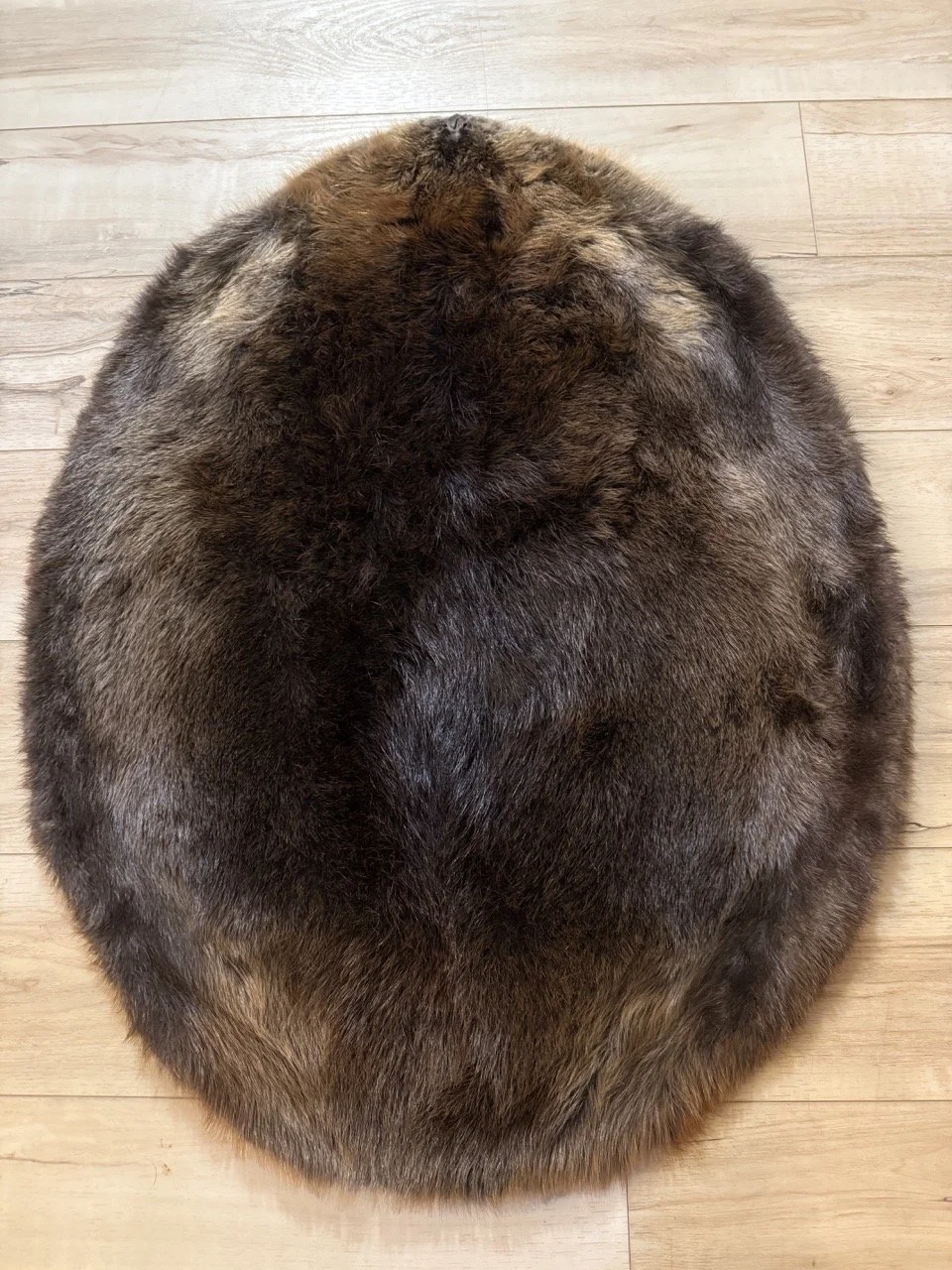 beaver stretched for hooping