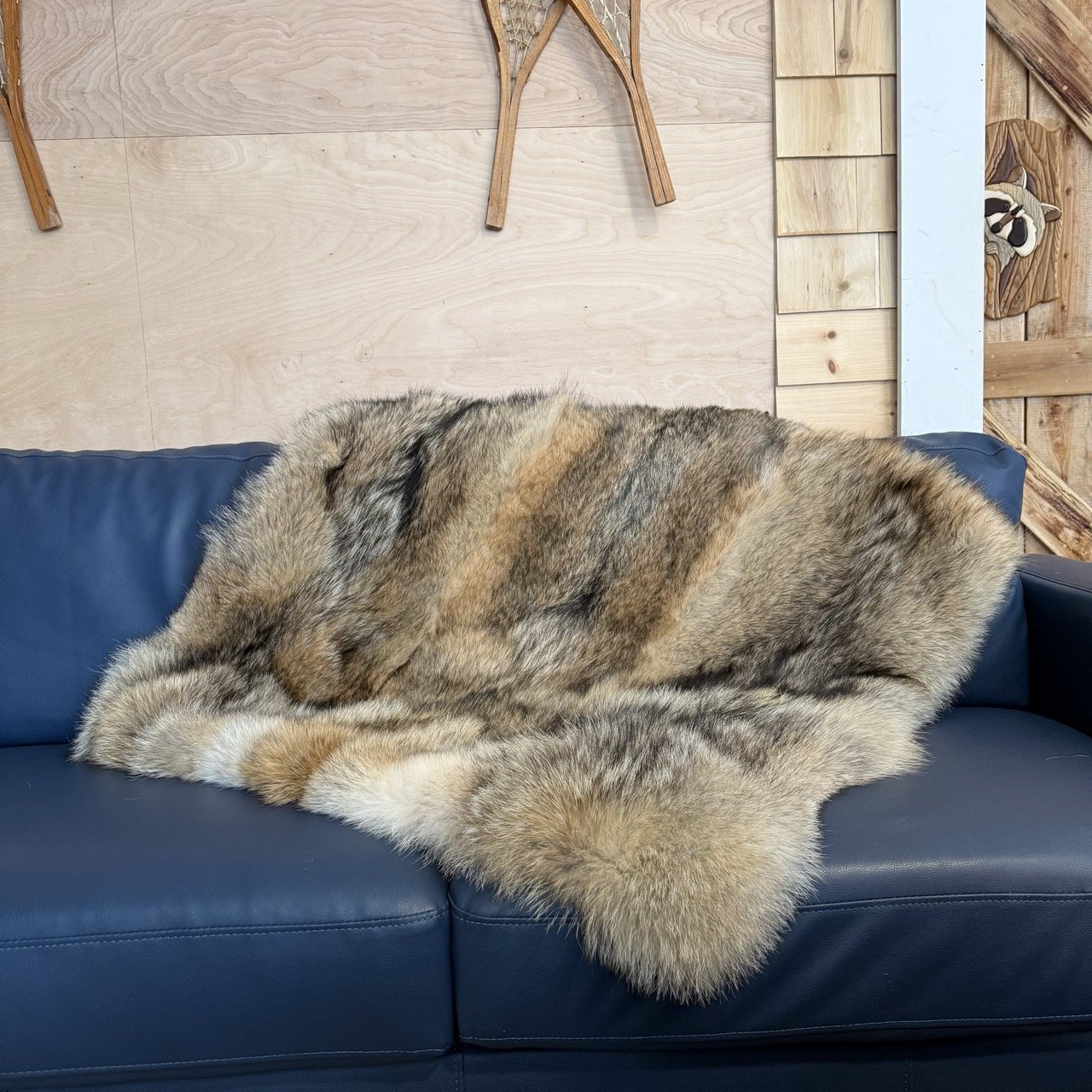 Coyote lap blanket