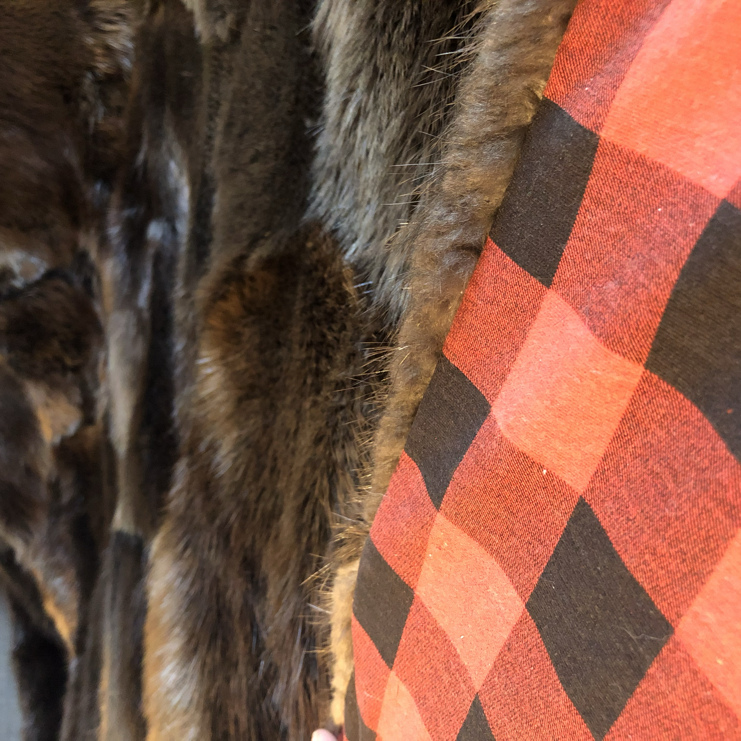 Beaver blanket, plaid backing