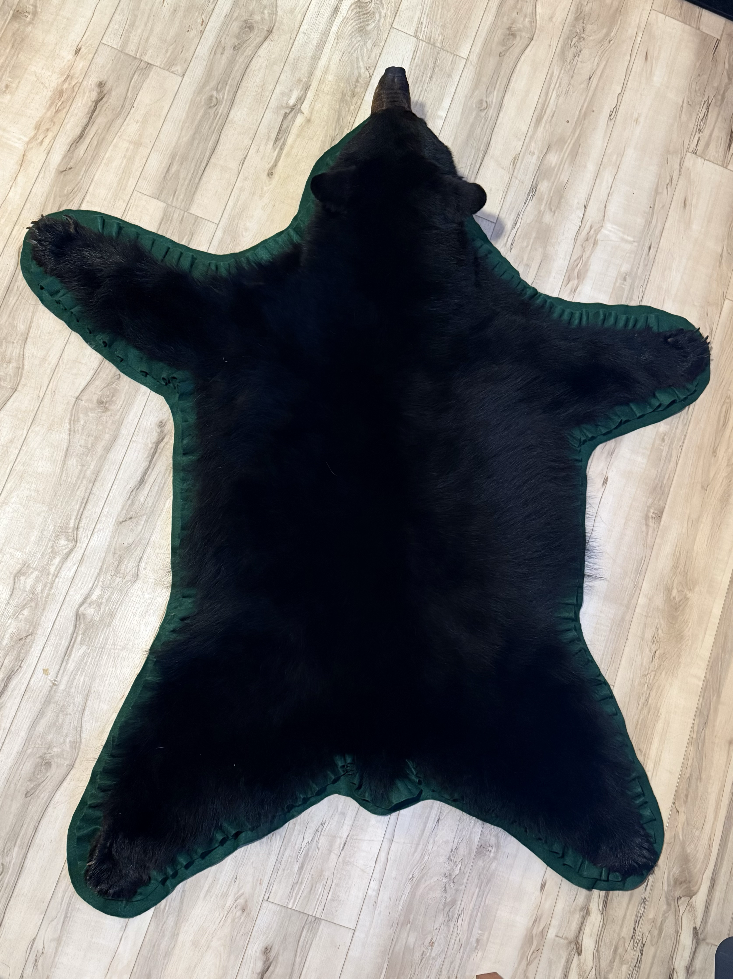 Black Bear rug