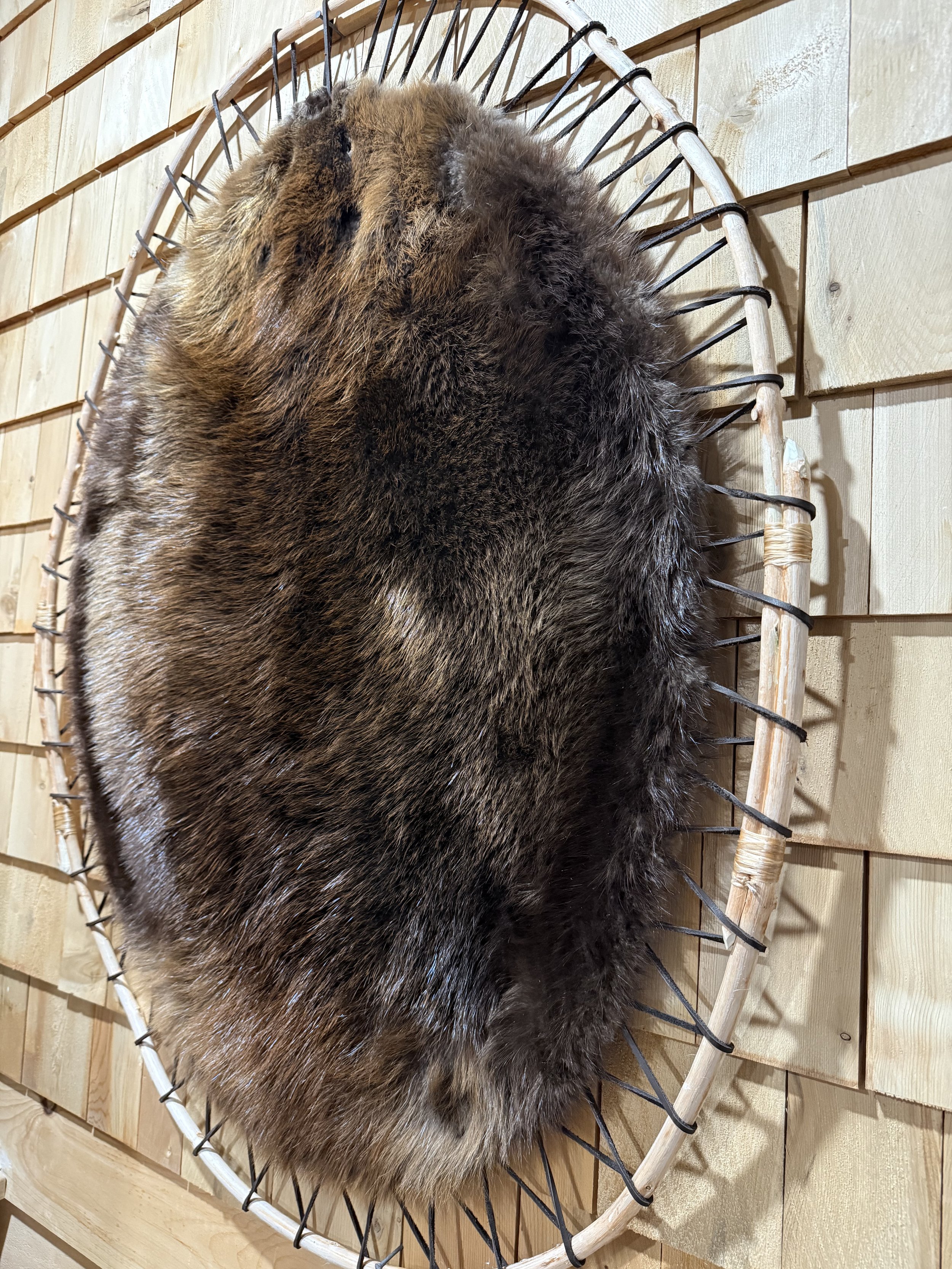 Beaver hooped on round wood frame, leather lacing
