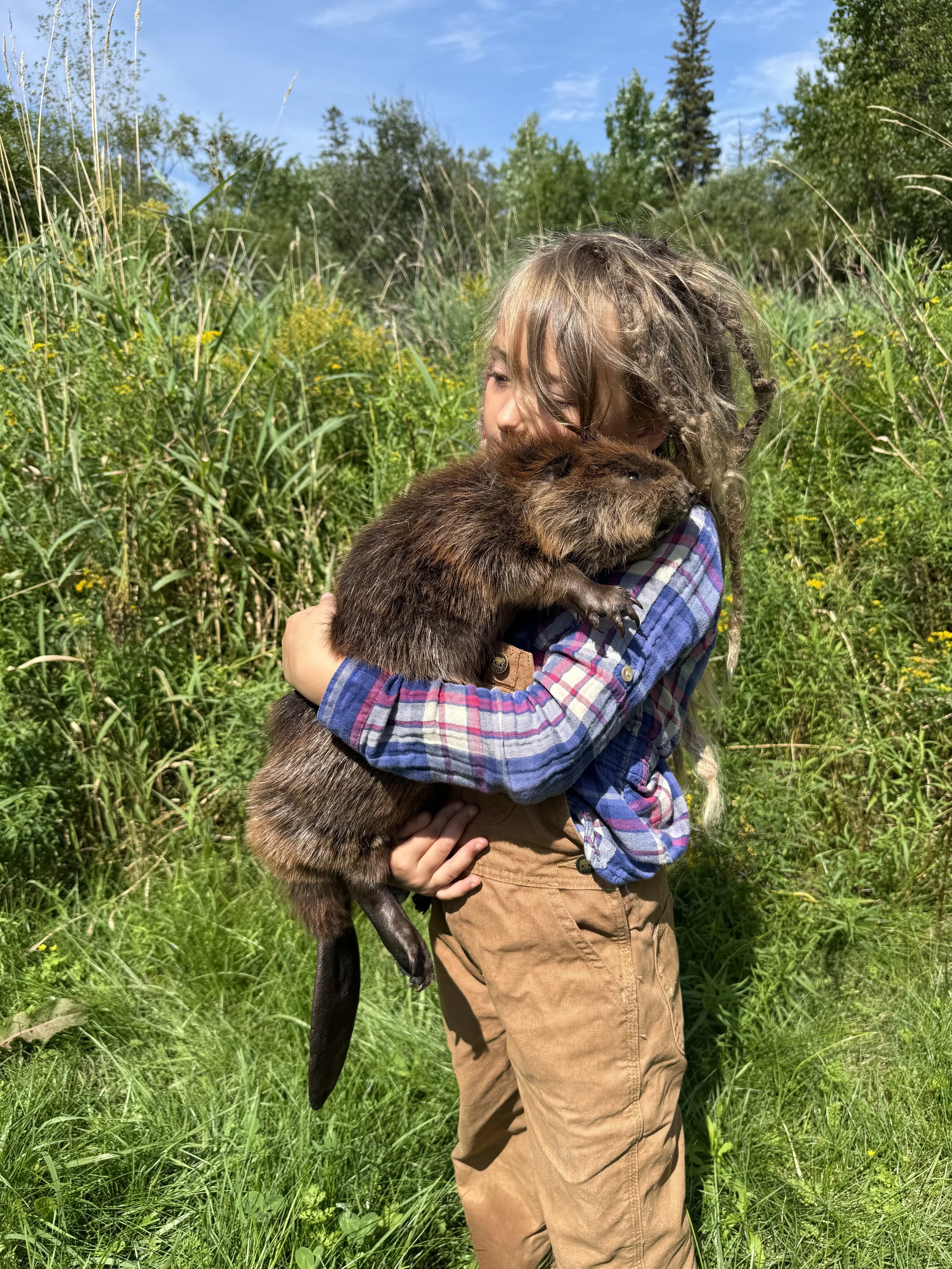Soft mount beaver, teeth included