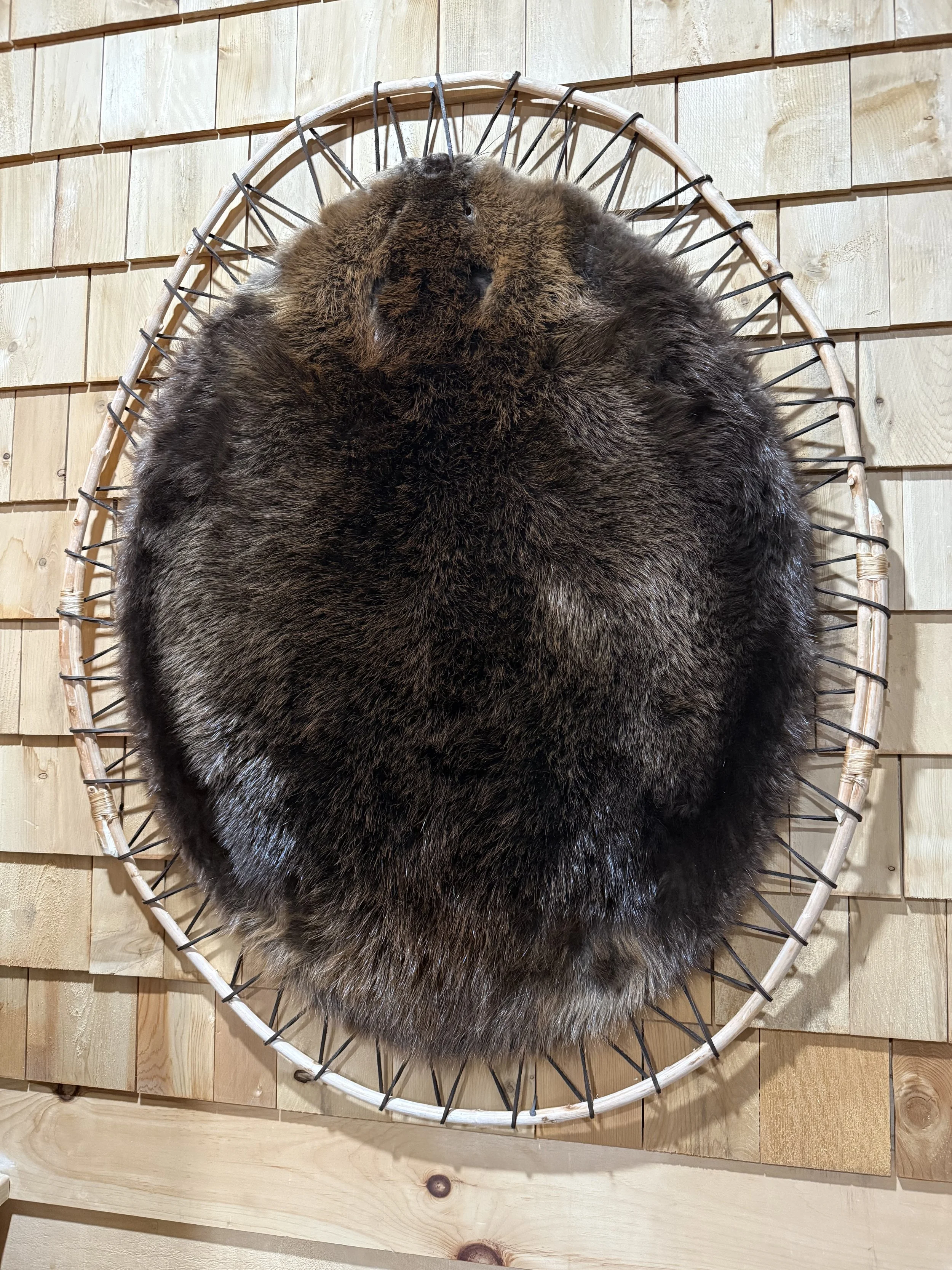 Beaver hooped on round wood frame, leather lacing