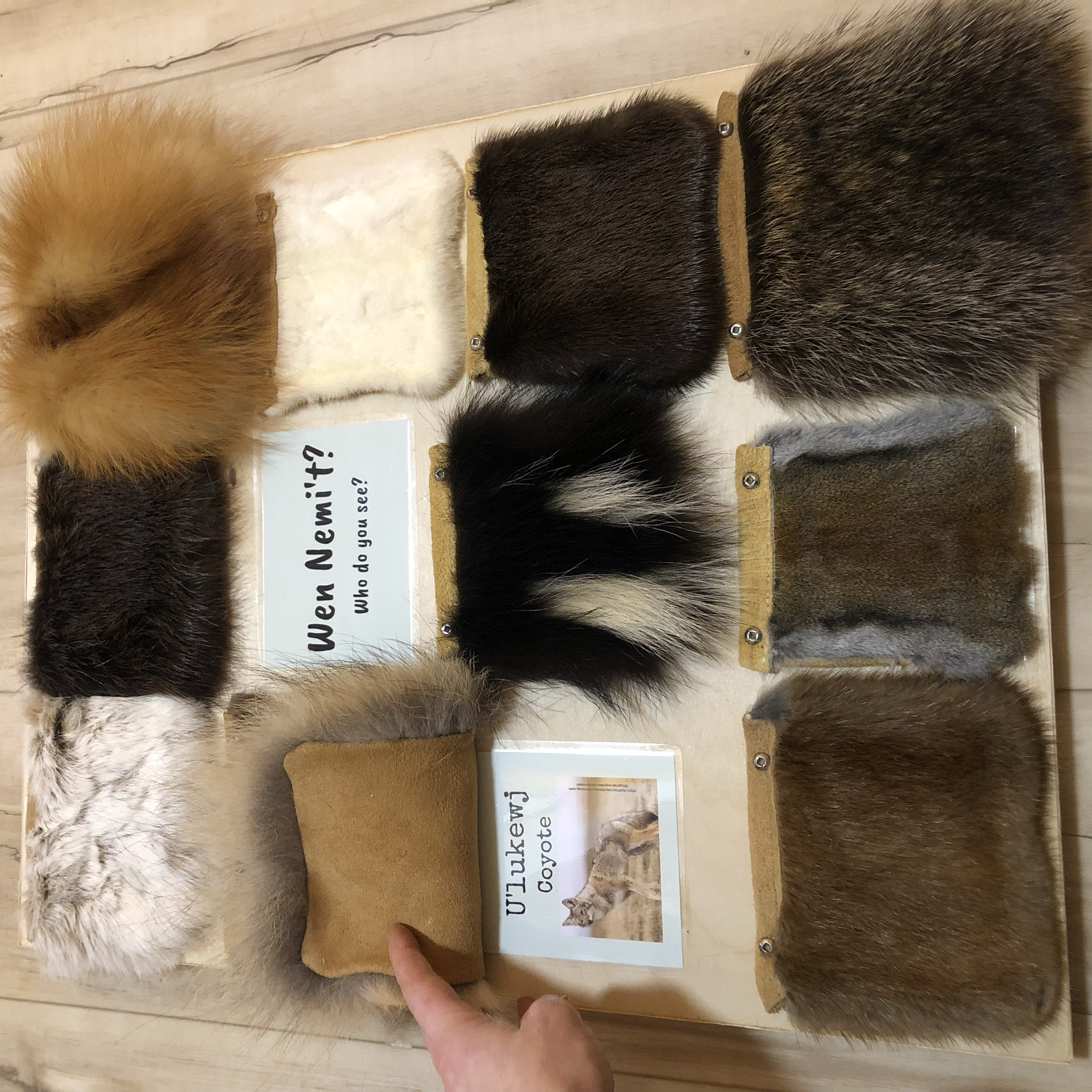 Educational Fur flip board for school