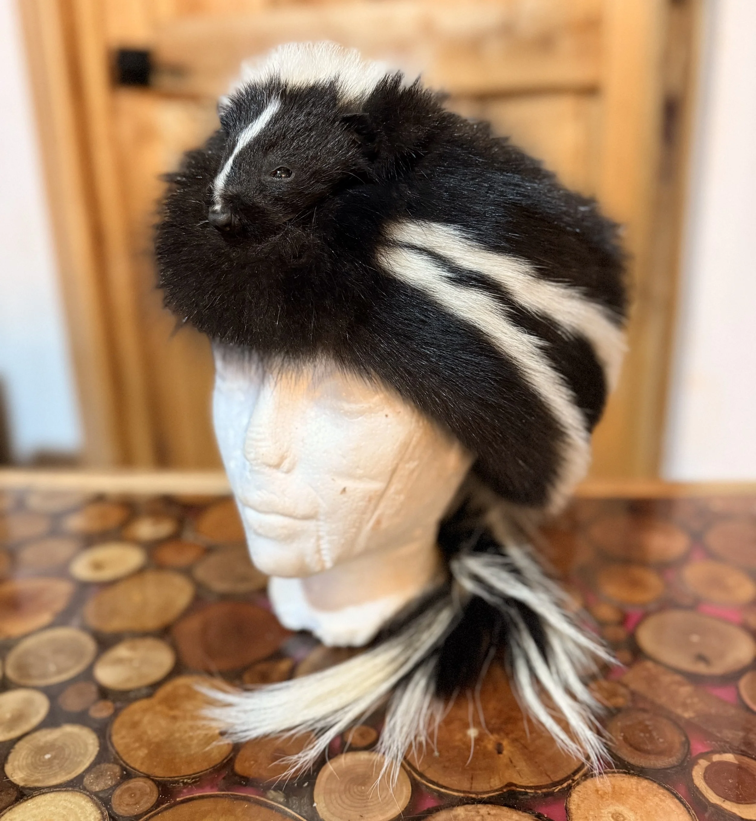 Skunk classic hat with tail and face, eyes added