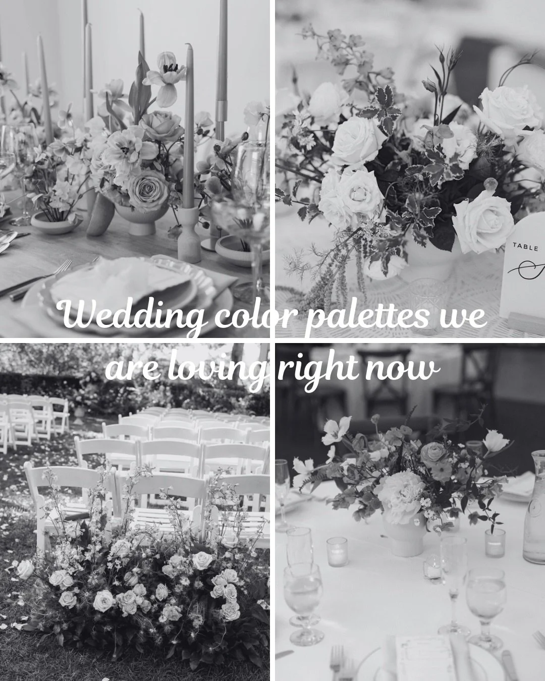 Some recent color palettes we&rsquo;ve done that came out stunning