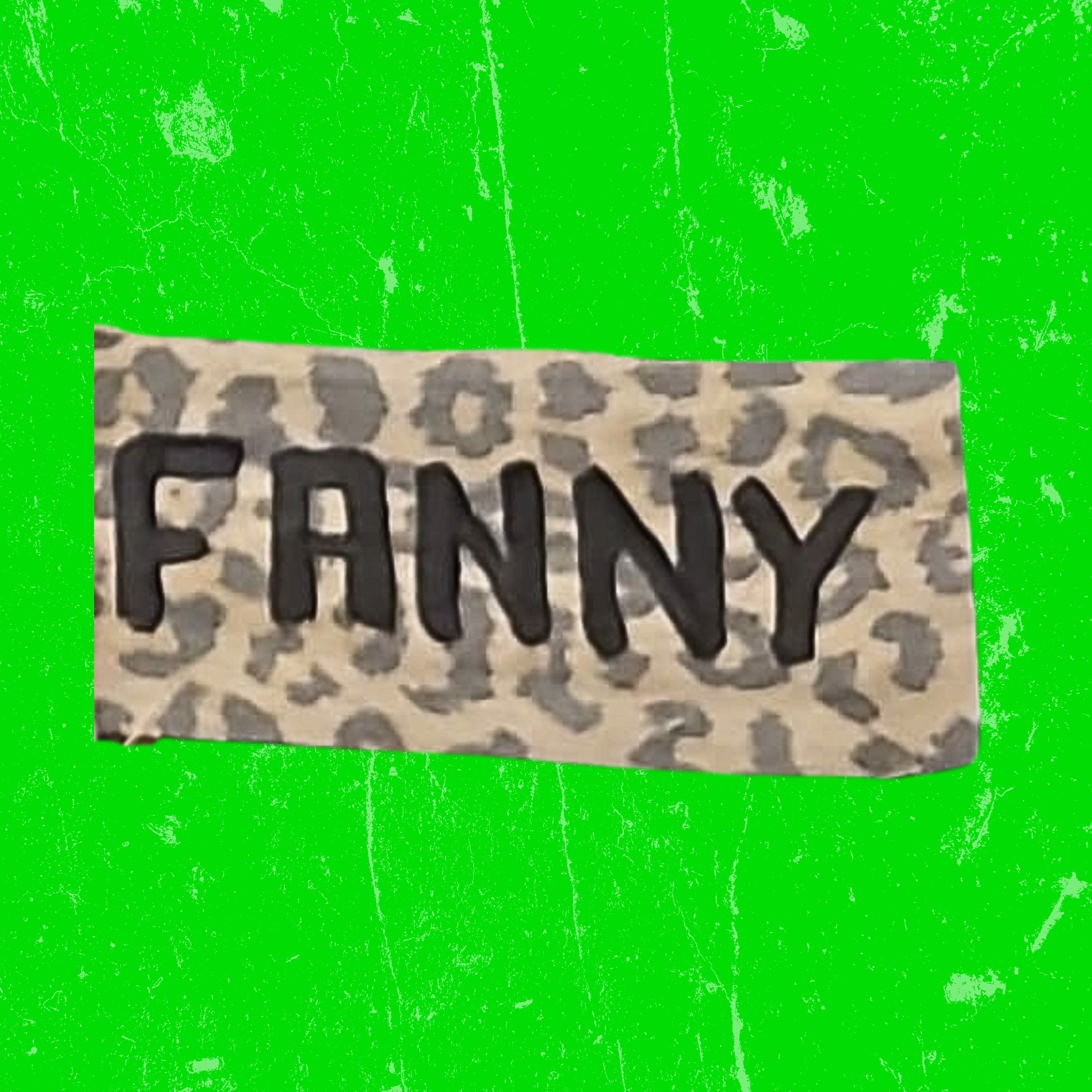 Fanny patch