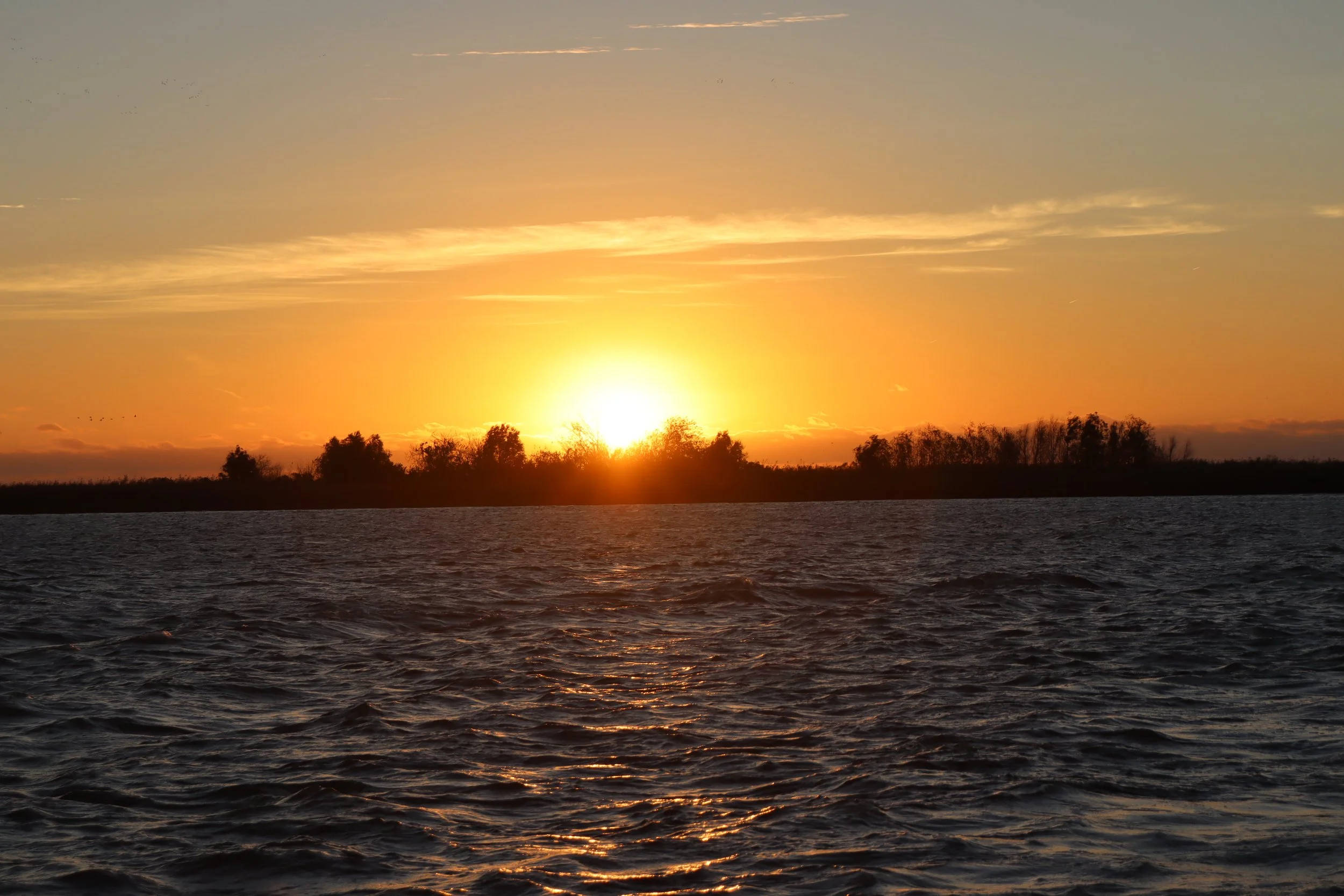 The Other Venice: Delta Dawns