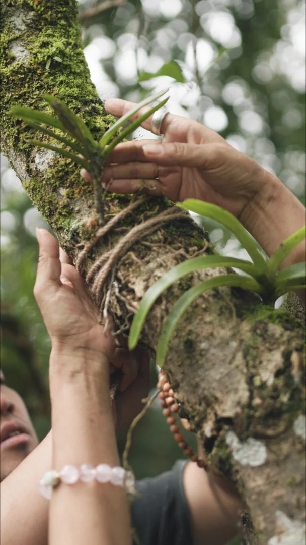 Still 2026-04-08 172842_1.1.5.jpeg