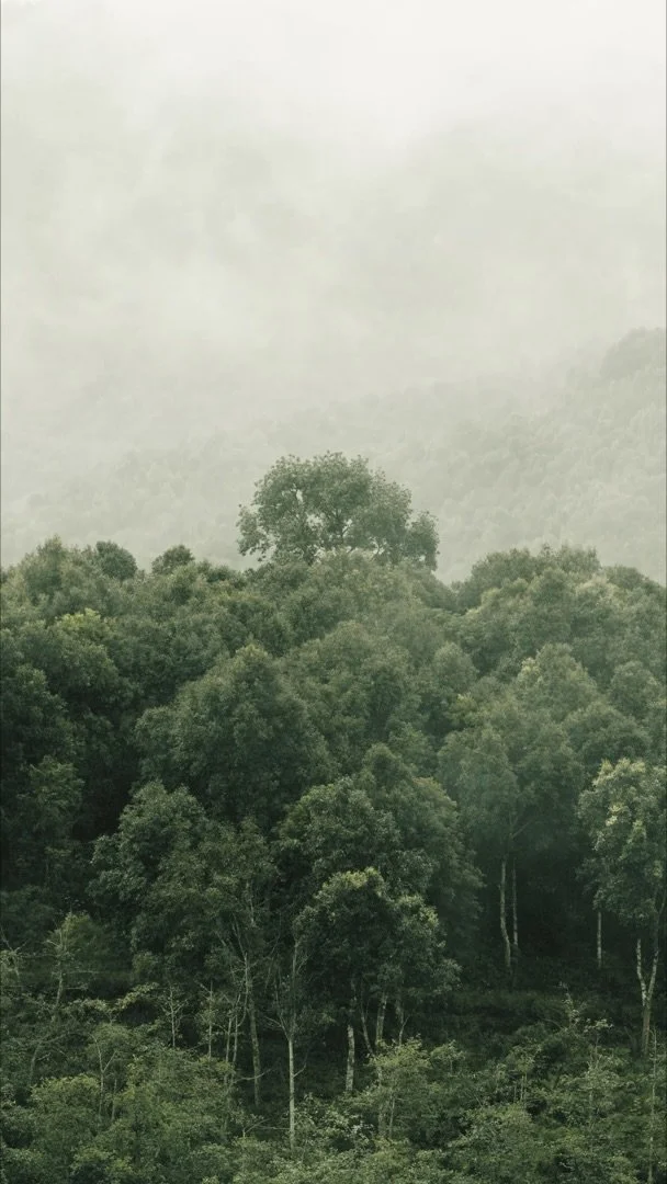 Still 2026-04-08 172842_1.5.1.jpeg