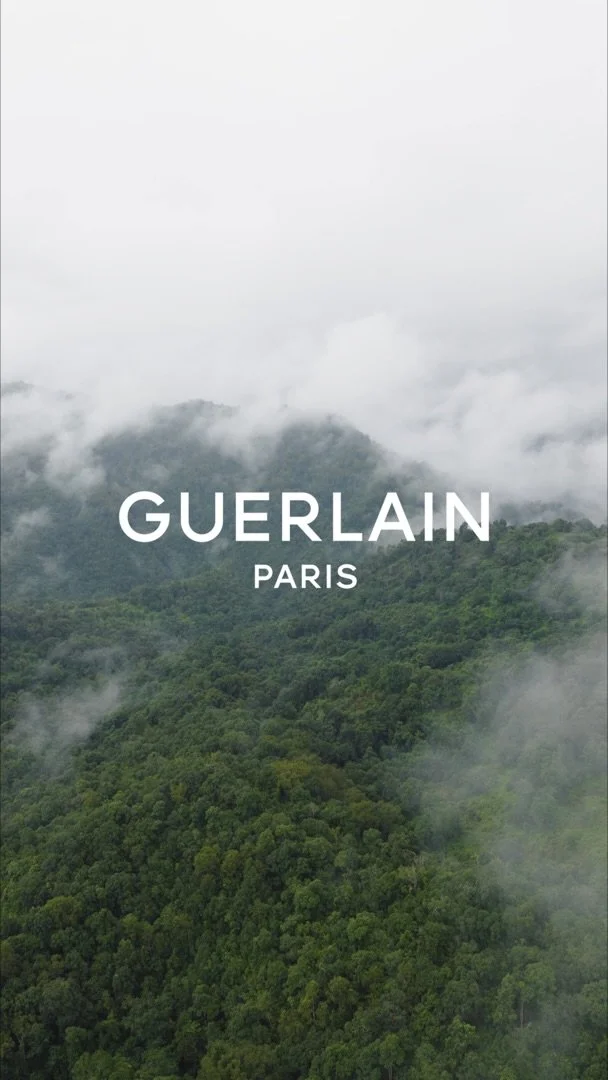 Still 2026-04-08 172842_1.1.6.jpeg