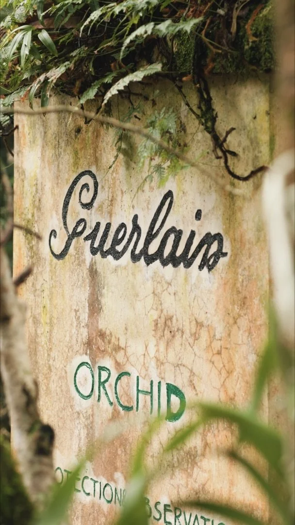 Still 2026-04-08 172842_1.1.3.jpeg