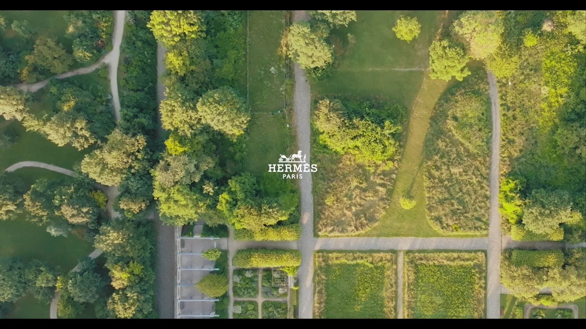 Still 2026-04-08 171738_1.1.1.jpg