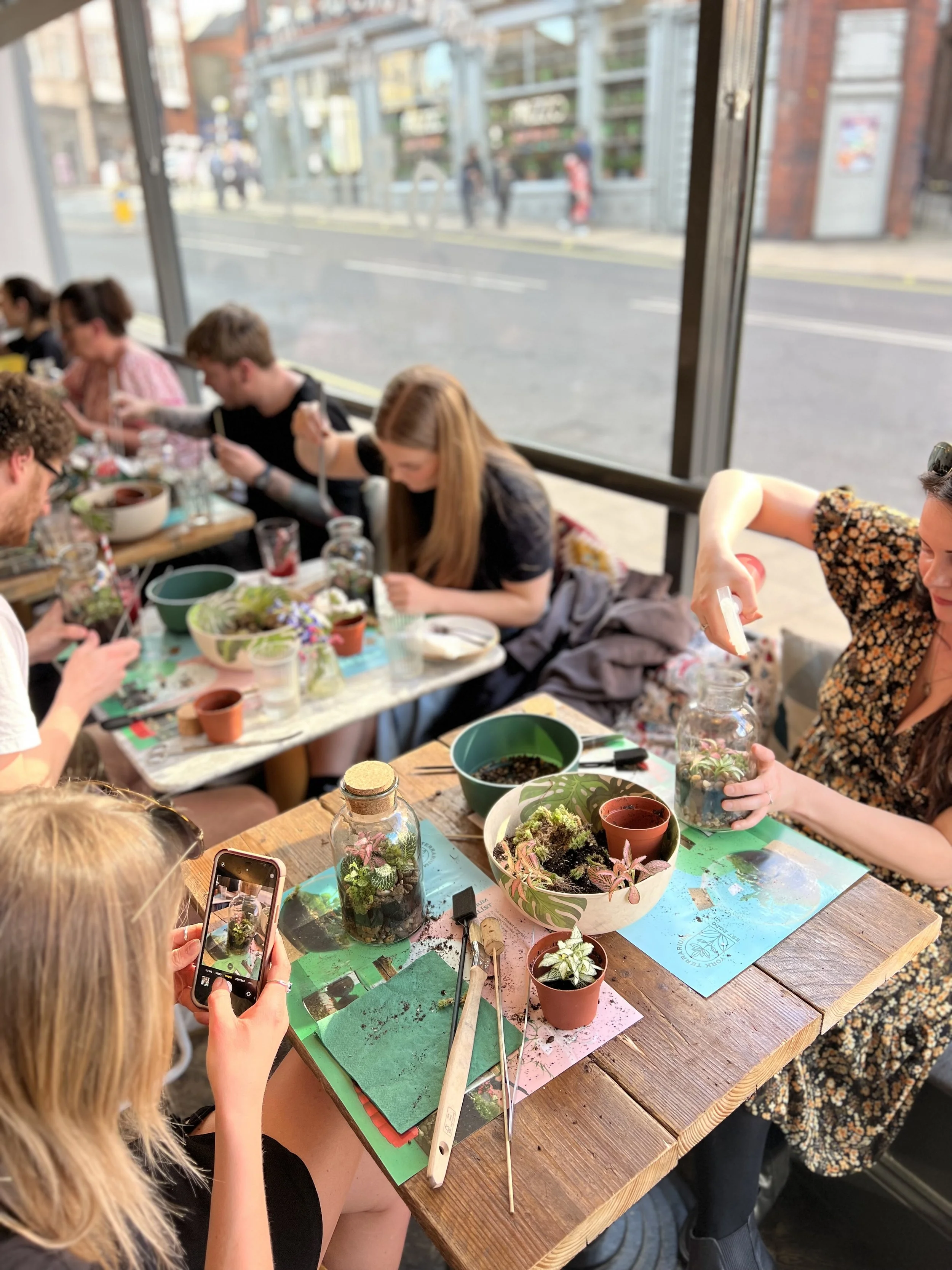 Terrarium Workshop @ Drift York