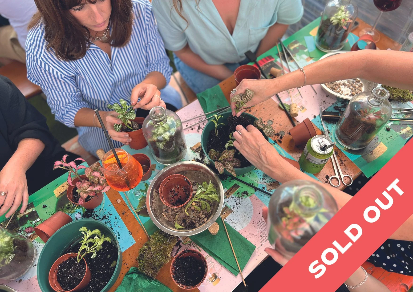 Terrarium Workshop @ Drift York