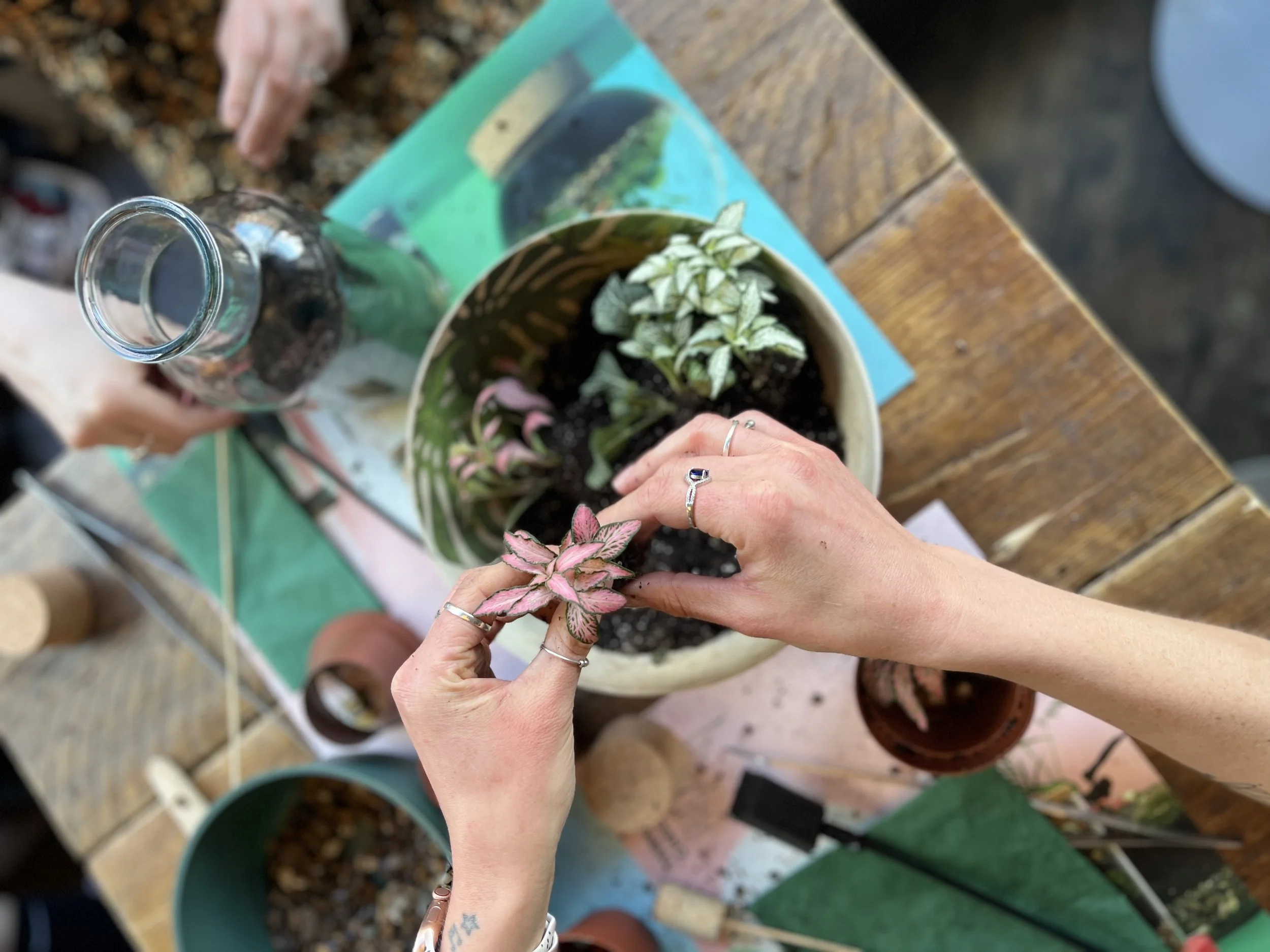 Terrarium Workshop @ Pool Bridge Farm