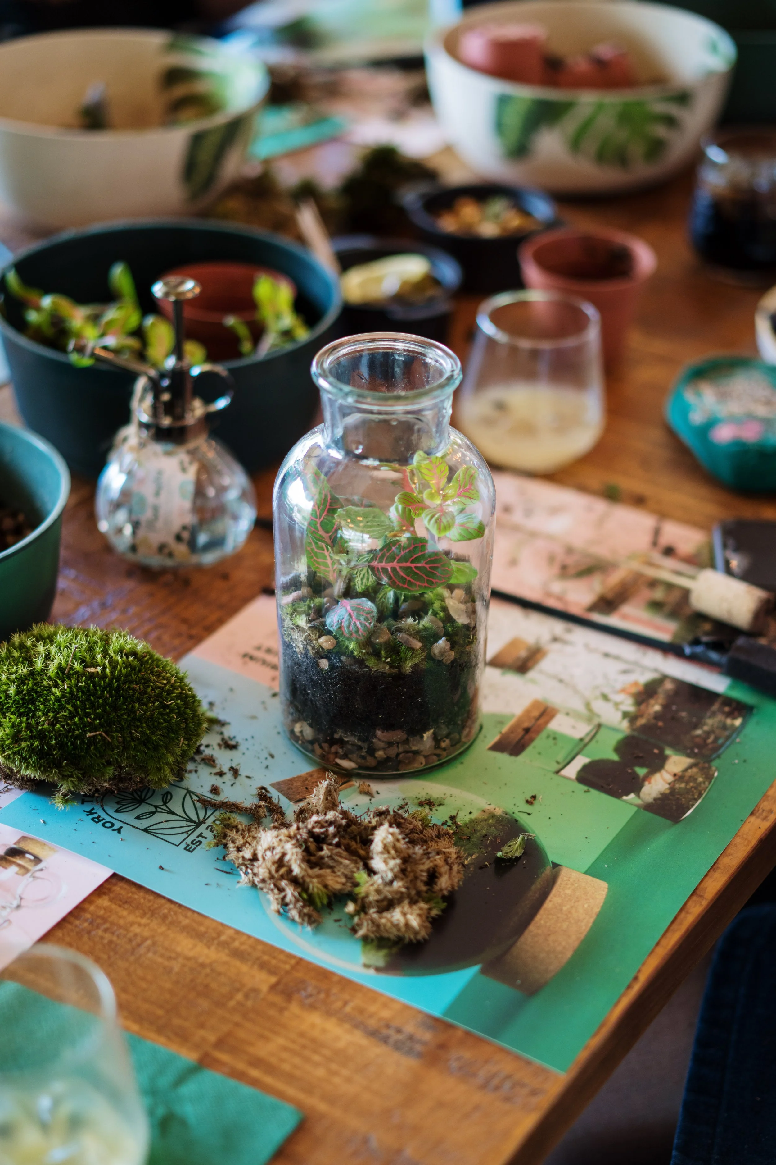 Terrarium Workshop @ Pool Bridge Farm