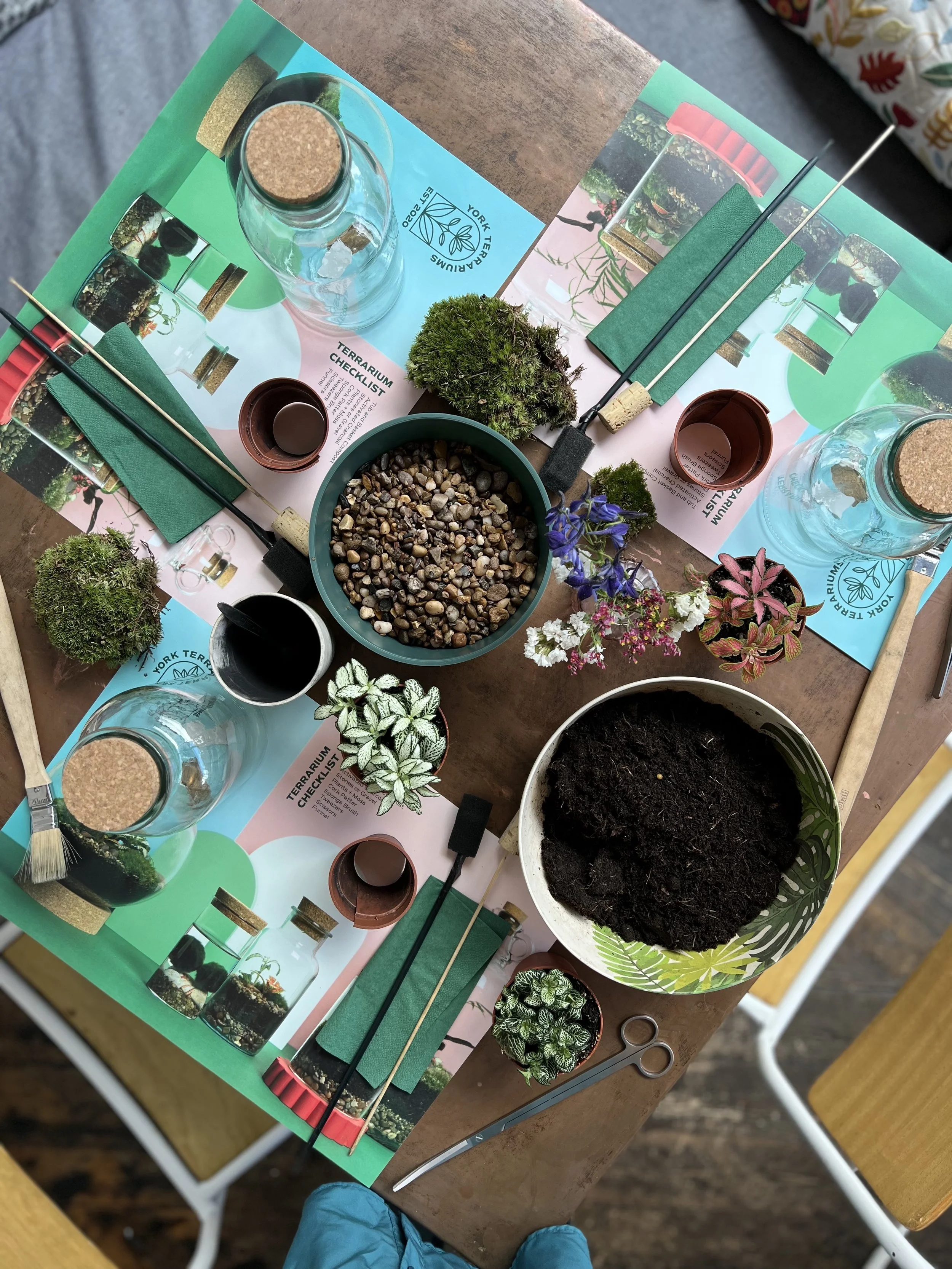 Terrarium Workshop @ Yolk Farm Harrogate
