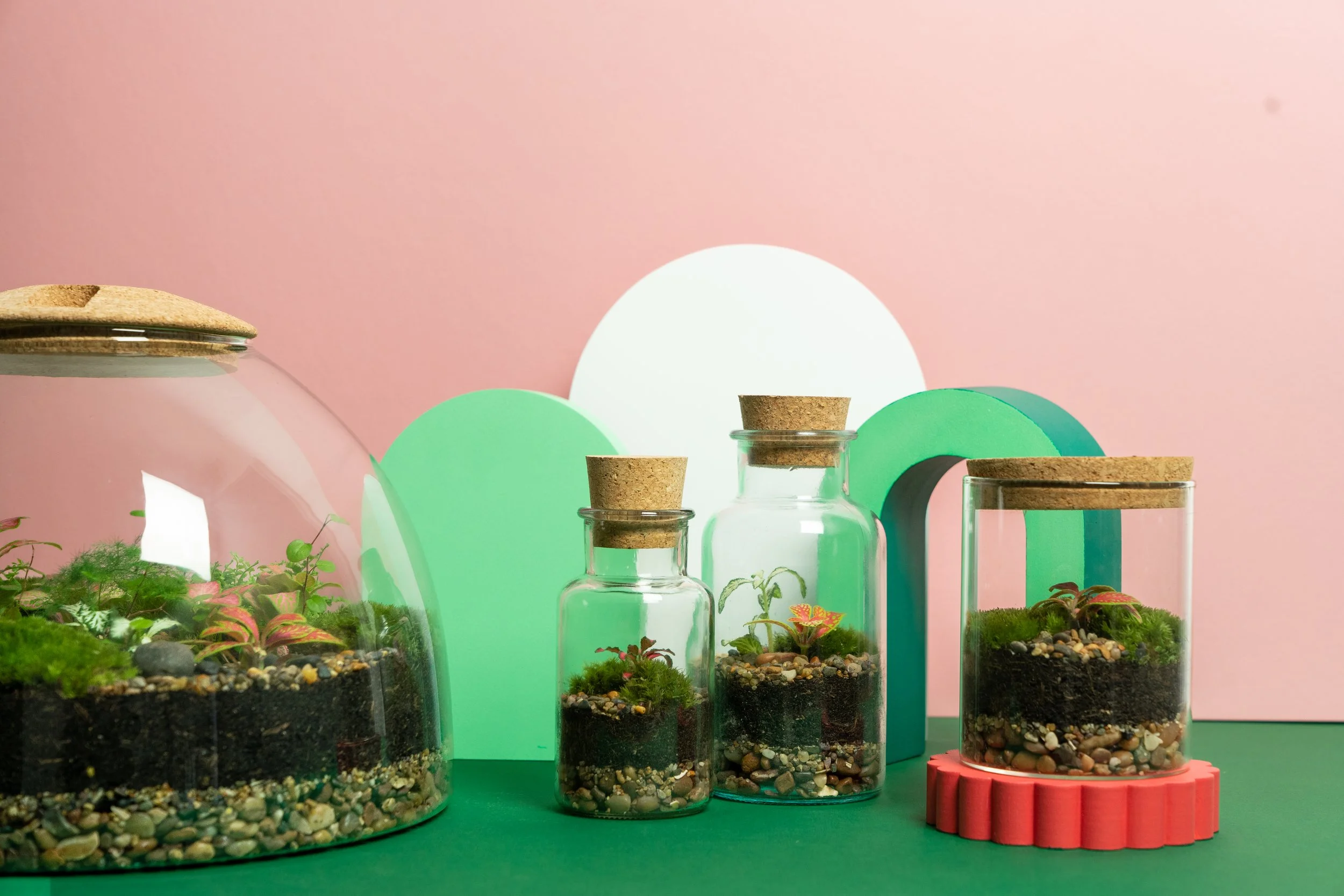 Shop Terrariums — York Terrariums