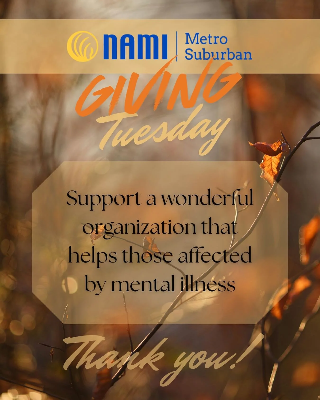 I&rsquo;m a day late, but I hope you&rsquo;ll forgive me. Yesterday was the first Tuesday of the month, which means it&rsquo;s time to support a new charity! This month, we are celebrating and honoring NAMI Metro Suburban, a non-profit organization d