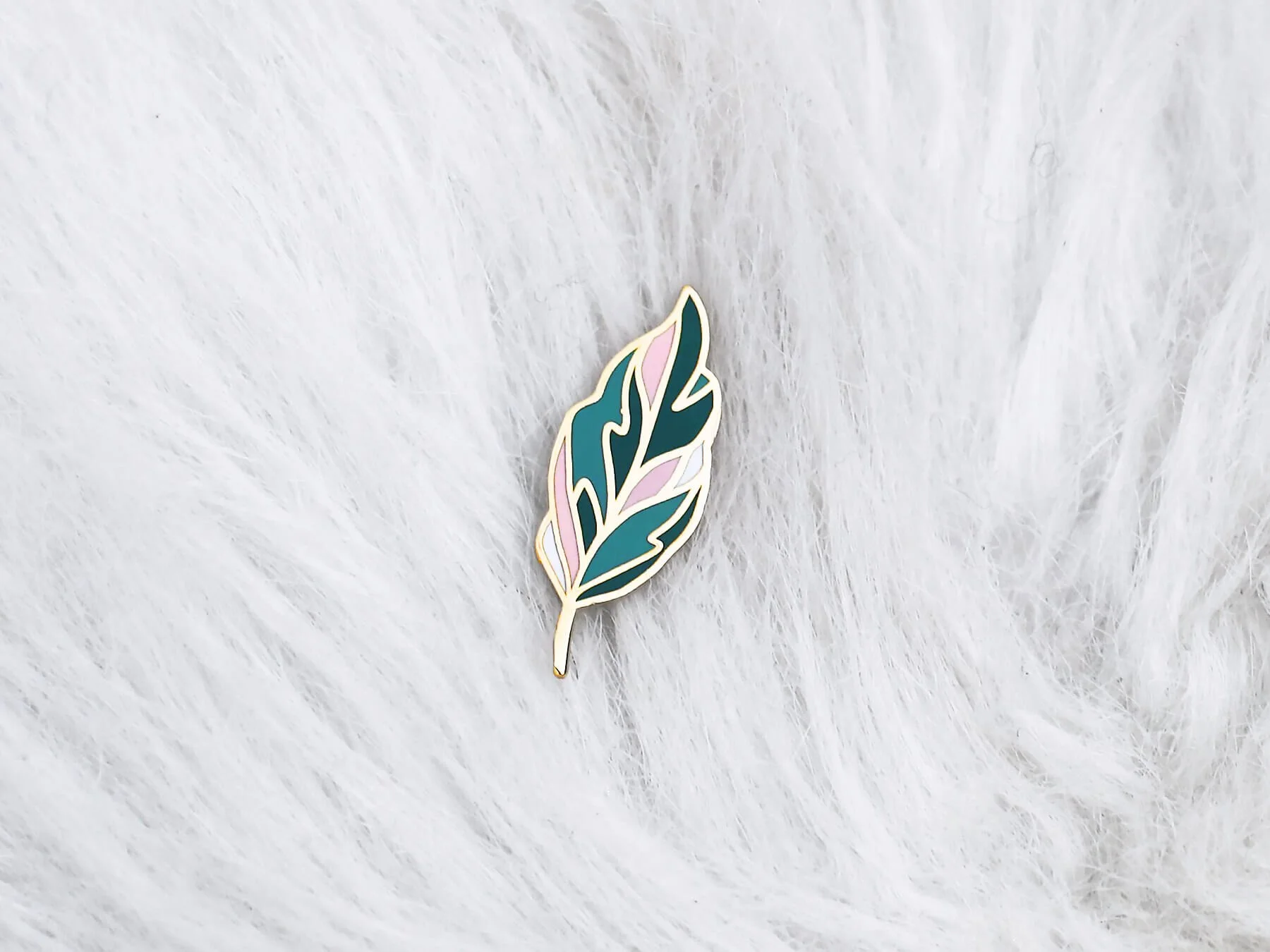 Calathea.jpg