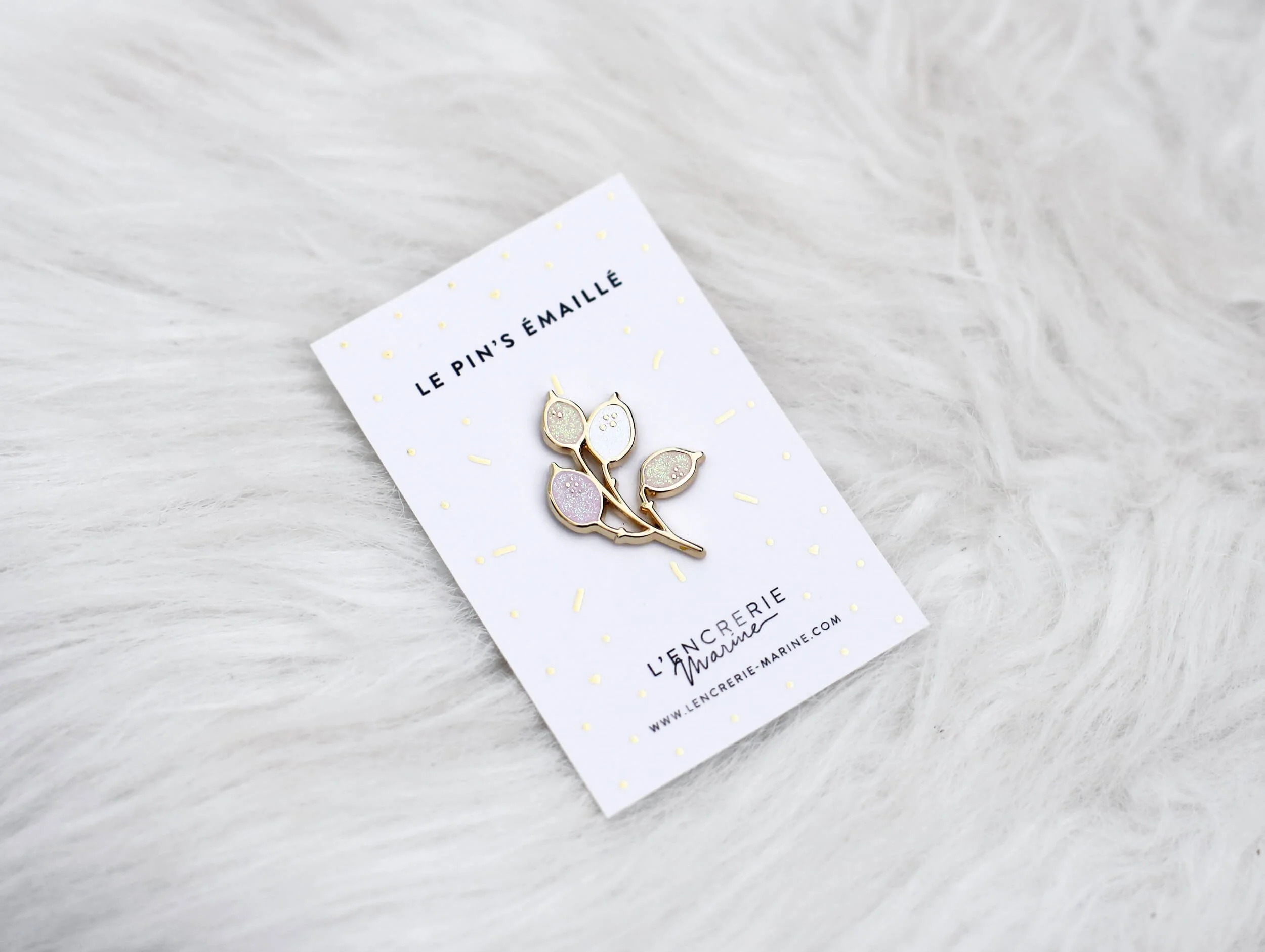 Pins+monnaie+du+pape+carte.jpg