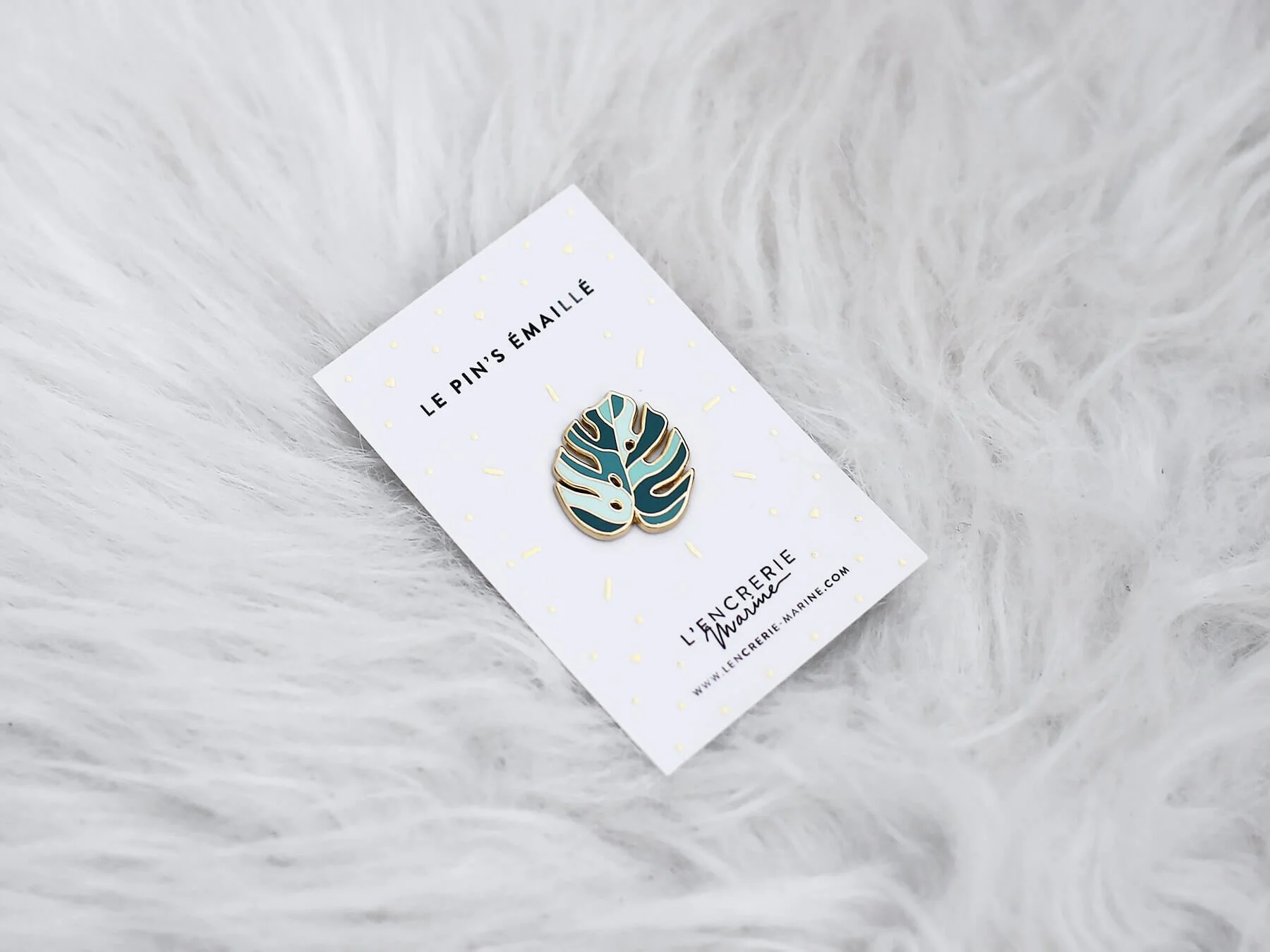 monstera+carte.jpg