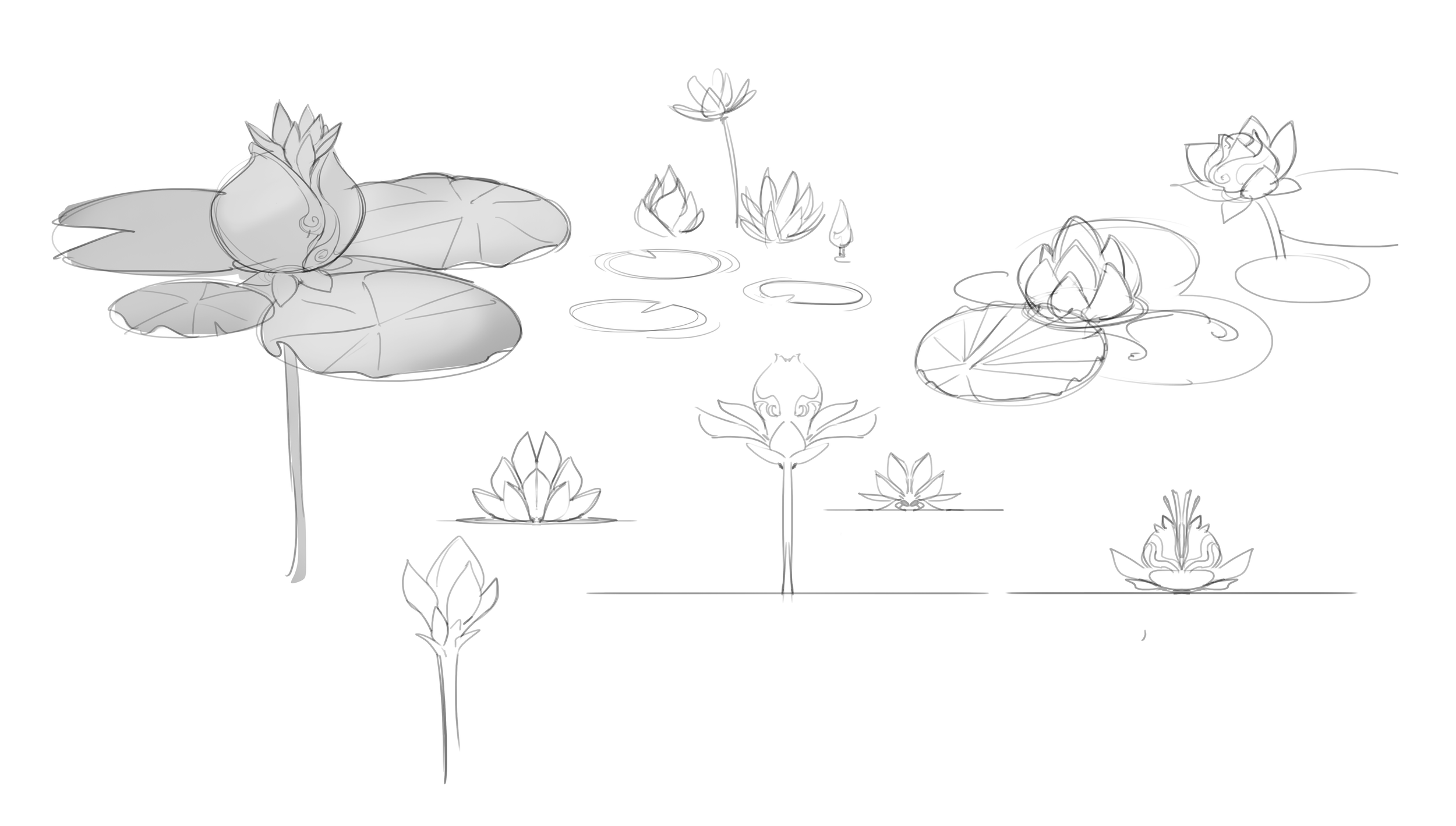 Magical Lily pads.png