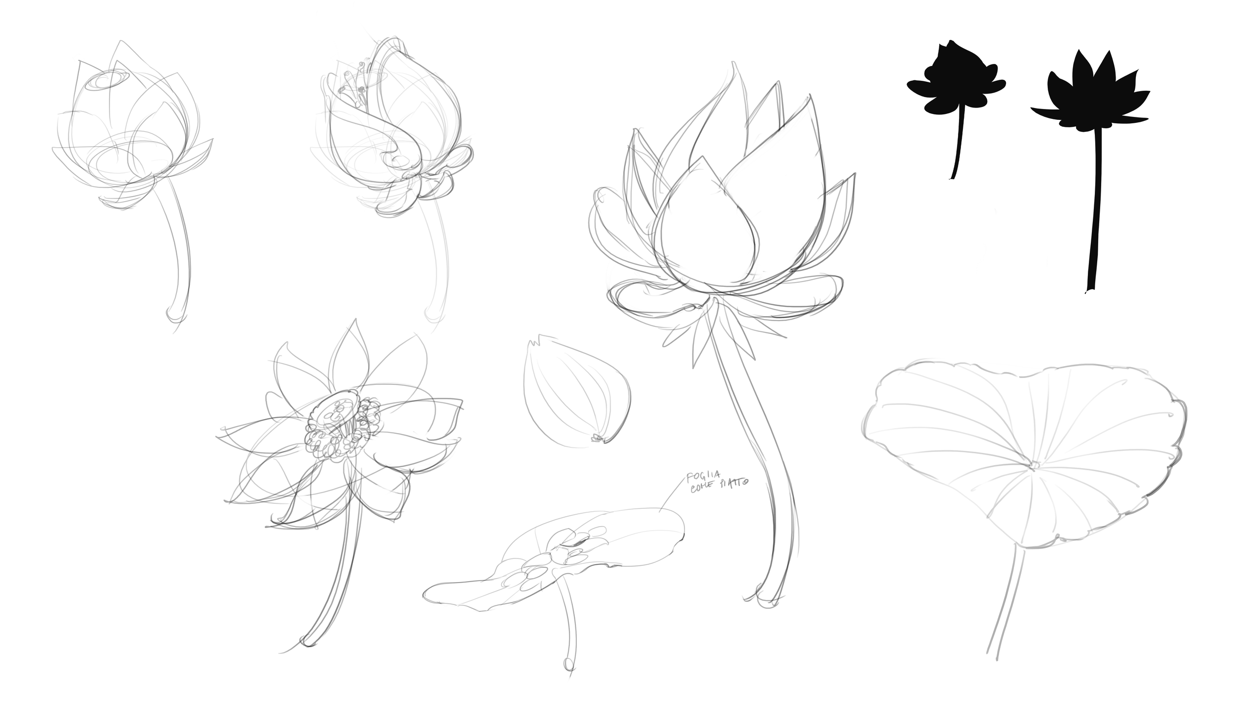 Magical Lily pads2.png