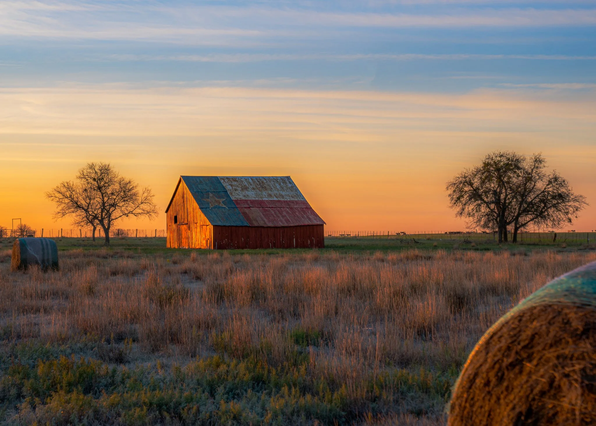 Texas Barn Landscape