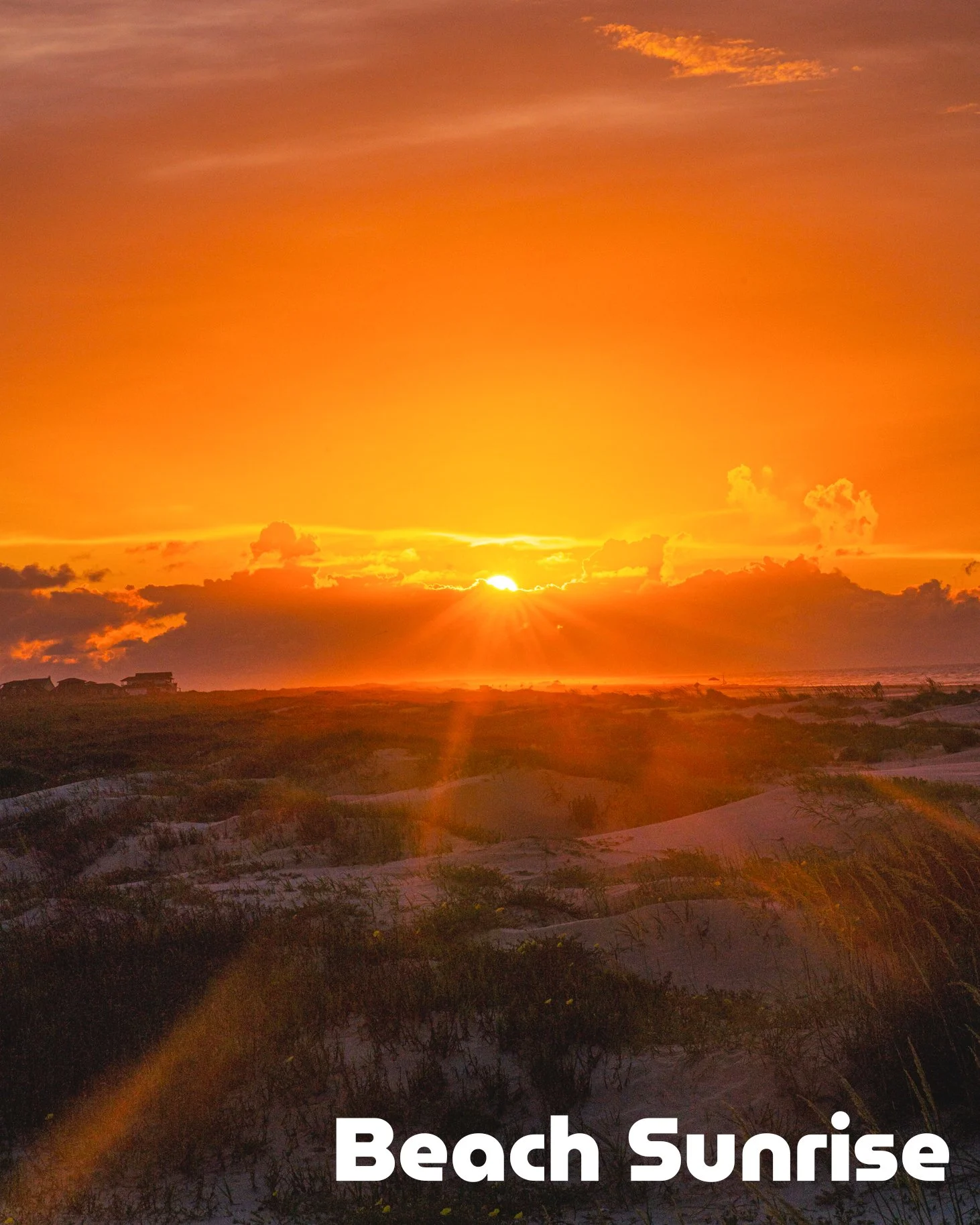 8x10Matagorda.jpg