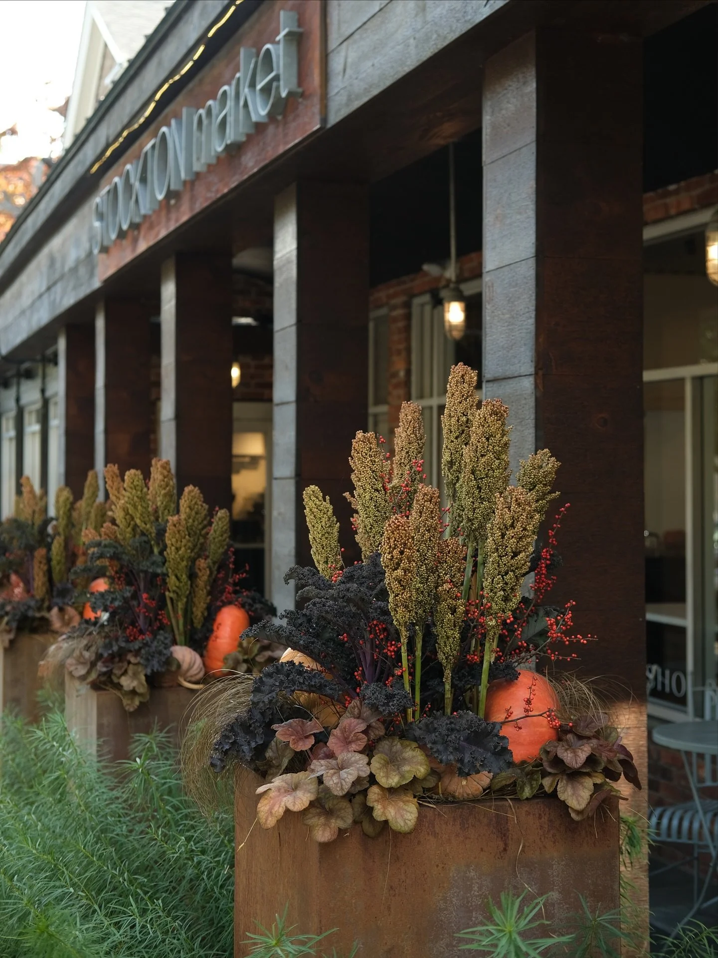 Our fall planters are in full effect! 🍁🍂 designed by master gardener Nancy Anderson, we hope you enjoy our homage to the seasonal changes 🤍