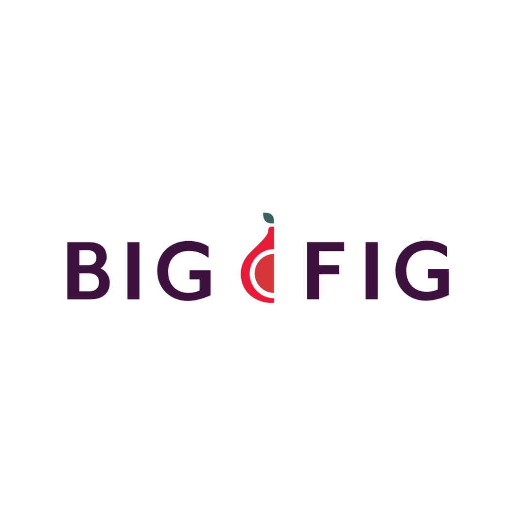Big Fig Mattress