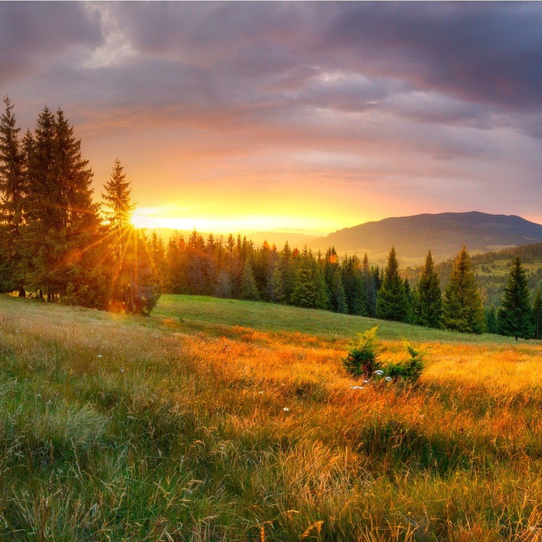 A Gentle Beginning - One 2-Hour Session