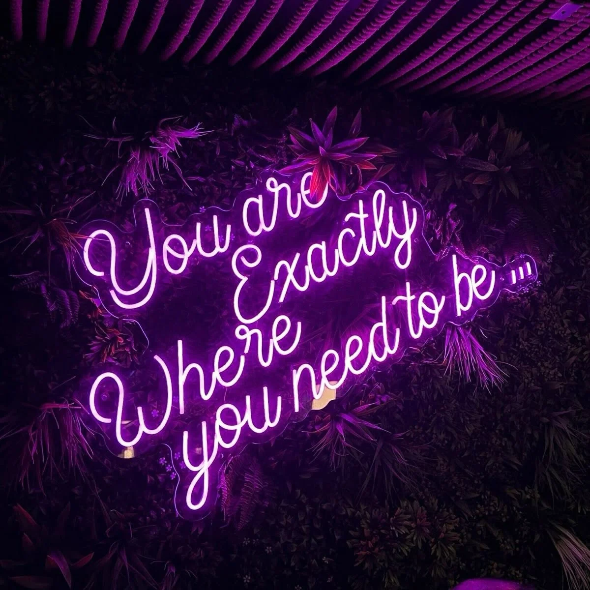 &ldquo;Honestly&hellip; it&rsquo;s the first time I&rsquo;ve felt like I truly belong.&rdquo;
This is what someone shared with me last week, just one week into joining HOME:

&ldquo;Honestly, it&rsquo;s the first time I&rsquo;ve truly felt like I bel