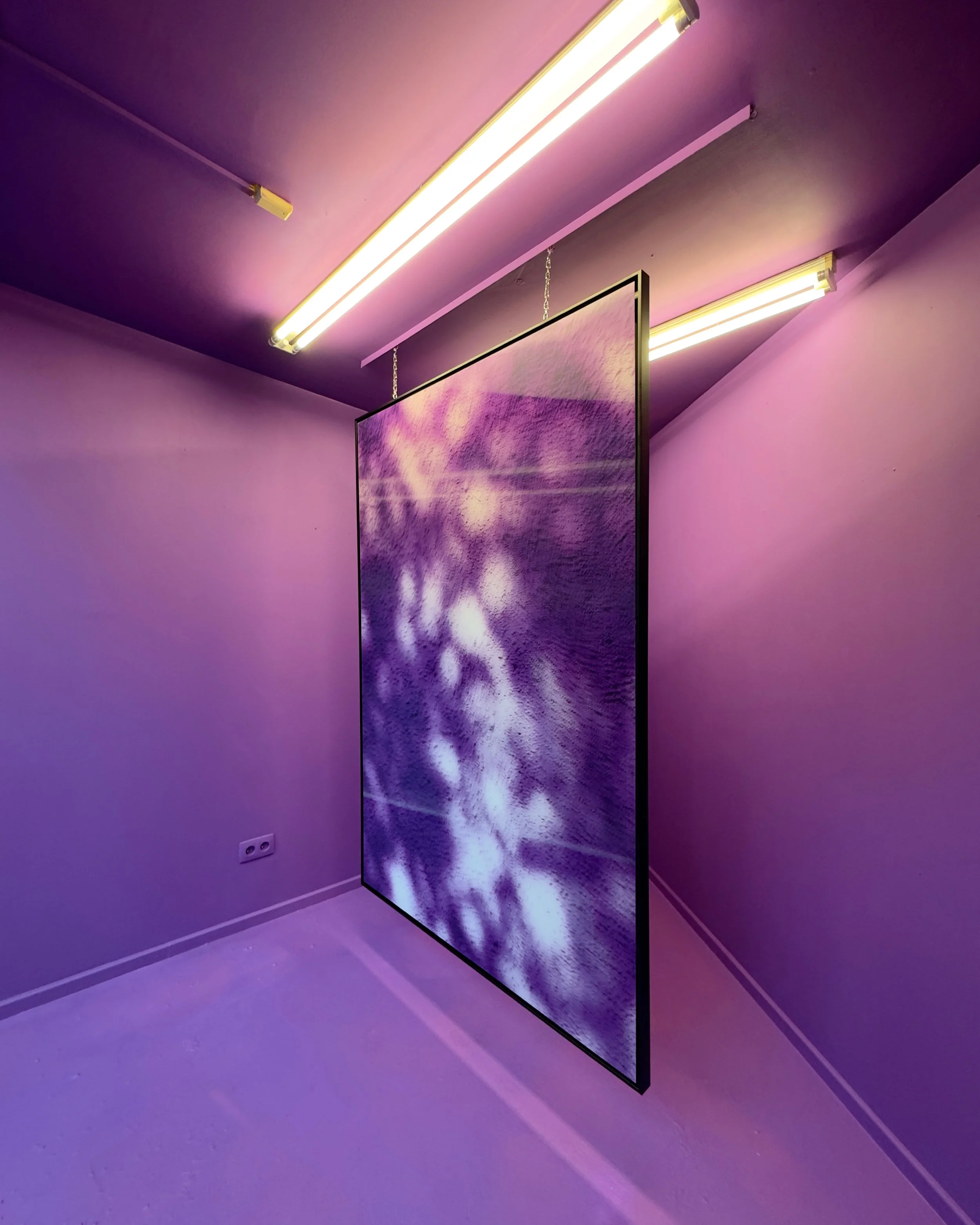 Selection 13 Galerie8.jpg