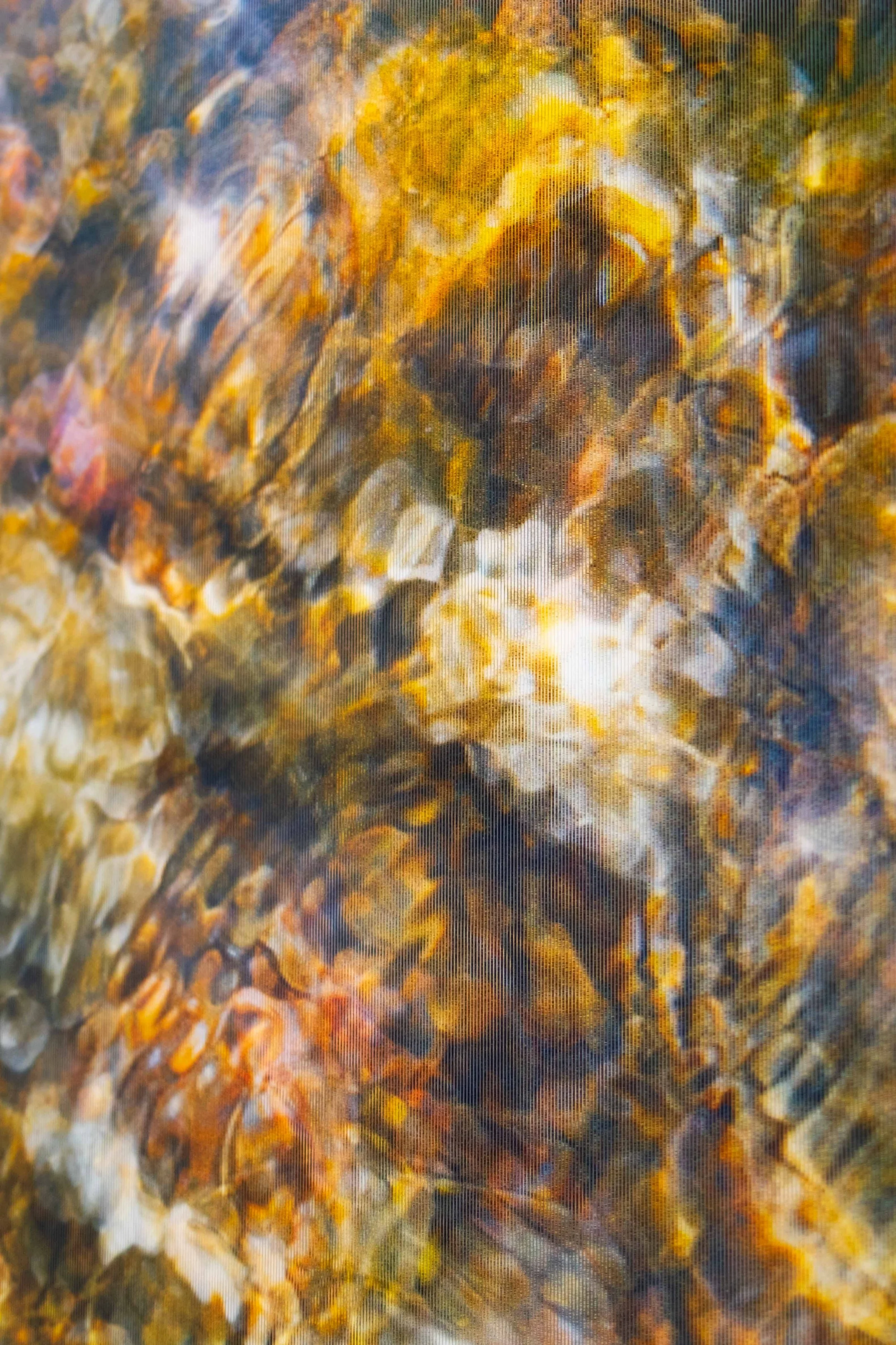 DSCF4586.jpg