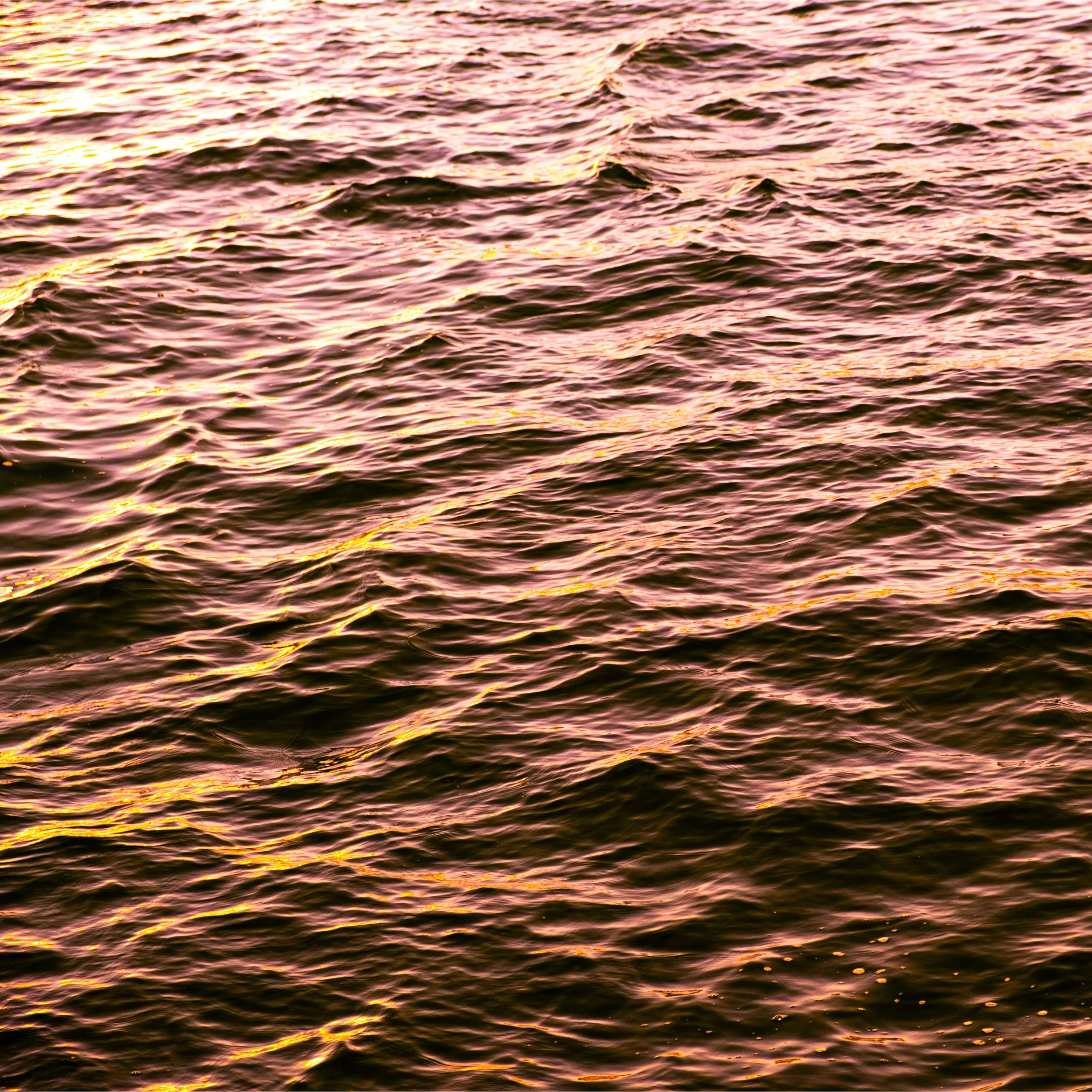 SEPIA OF SHADES.jpg